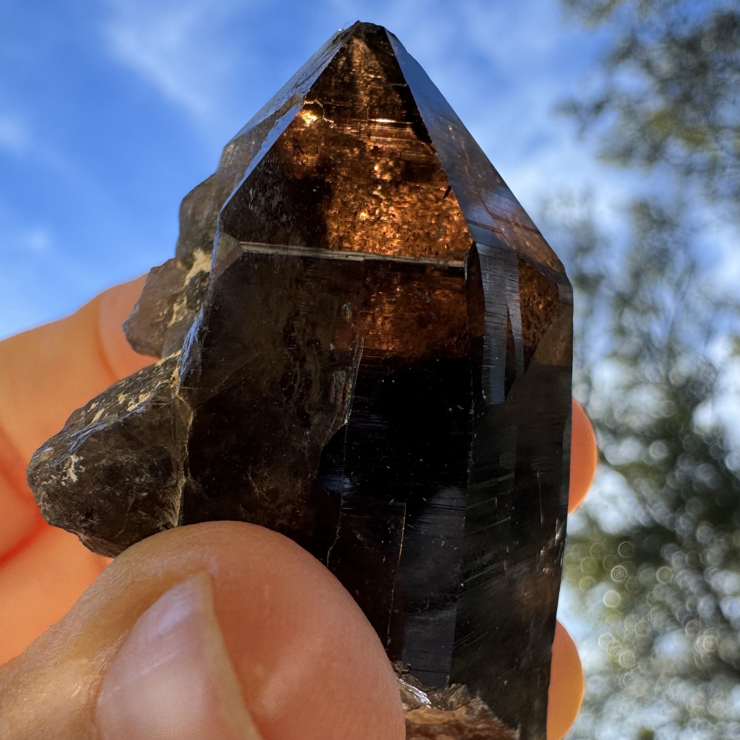 Himalayan Smoky Quartz Collection