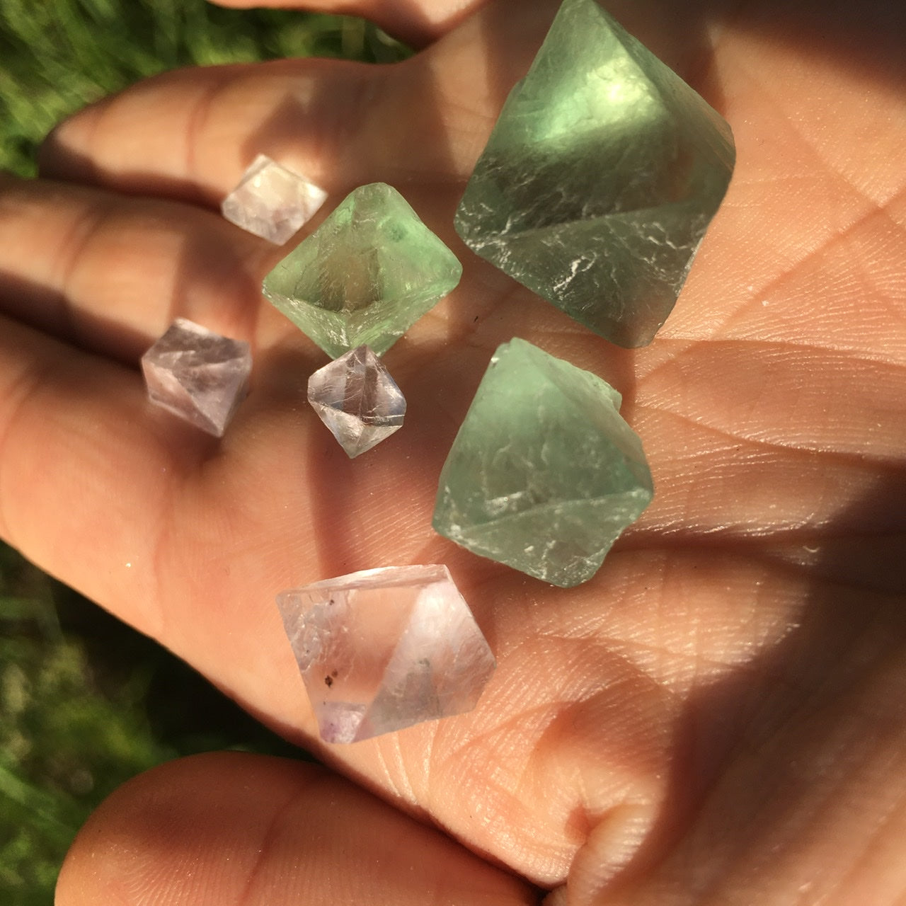 Multicolor Fluorite Crystals, Kit of 7