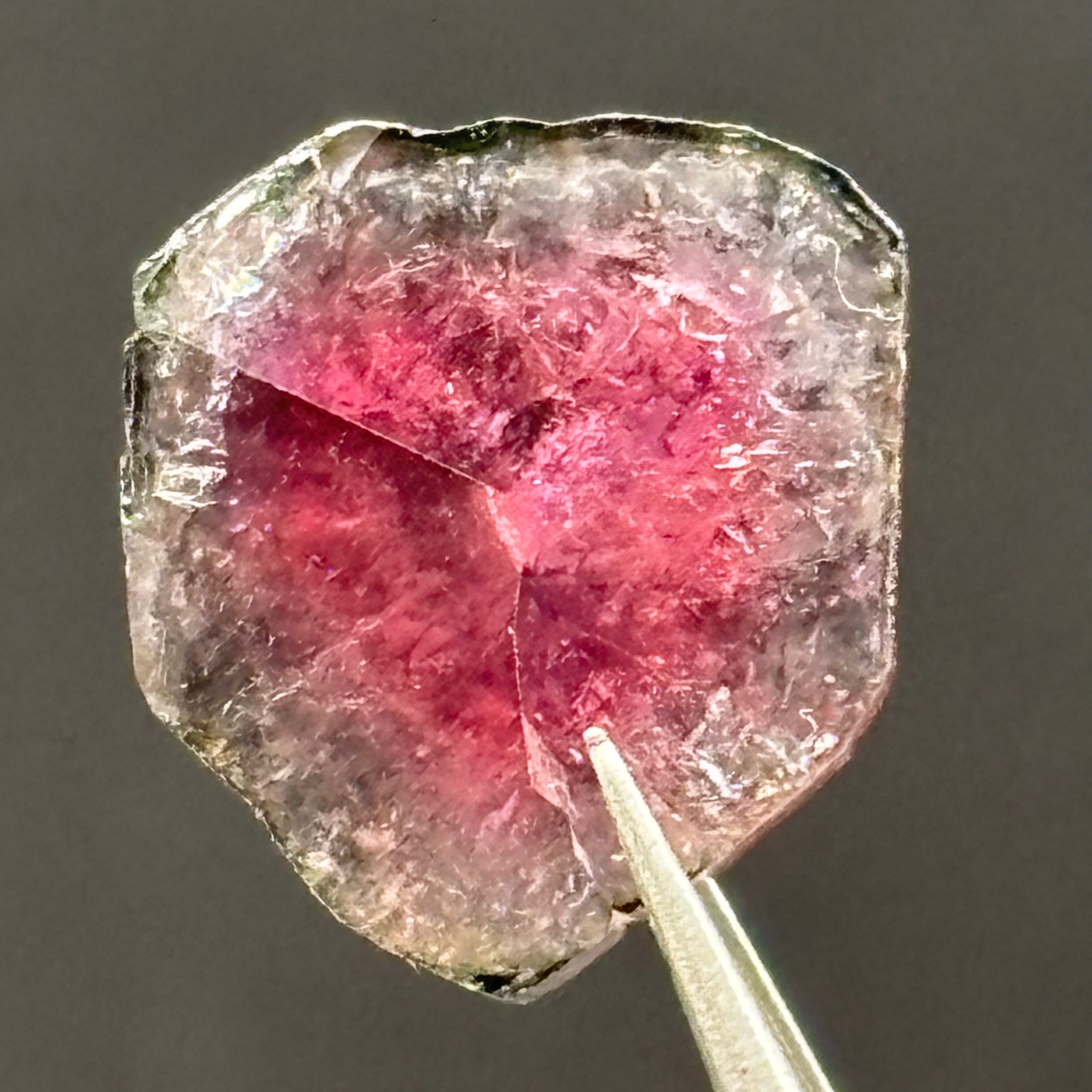Watermelon Tourmaline Cross-Section - 078
