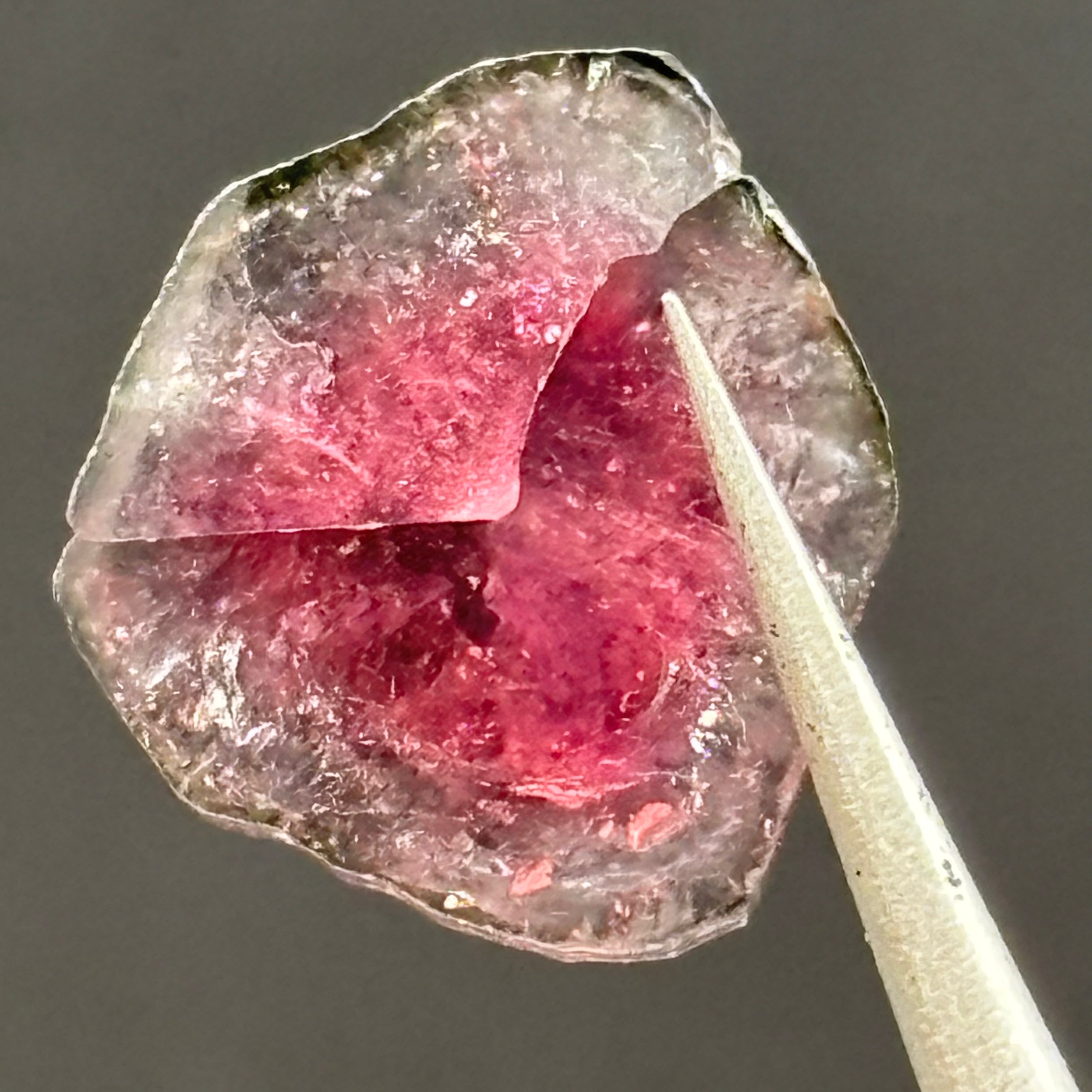 Watermelon Tourmaline Cross-Section - 078