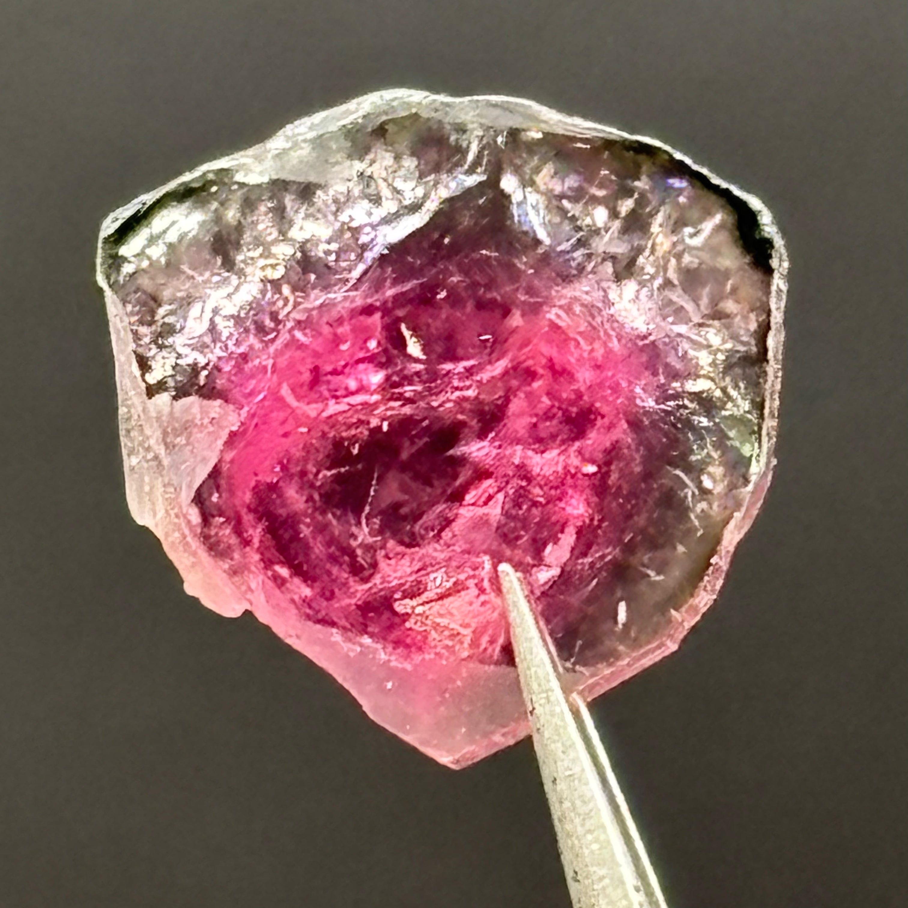 Watermelon Tourmaline Cross-Section - 079