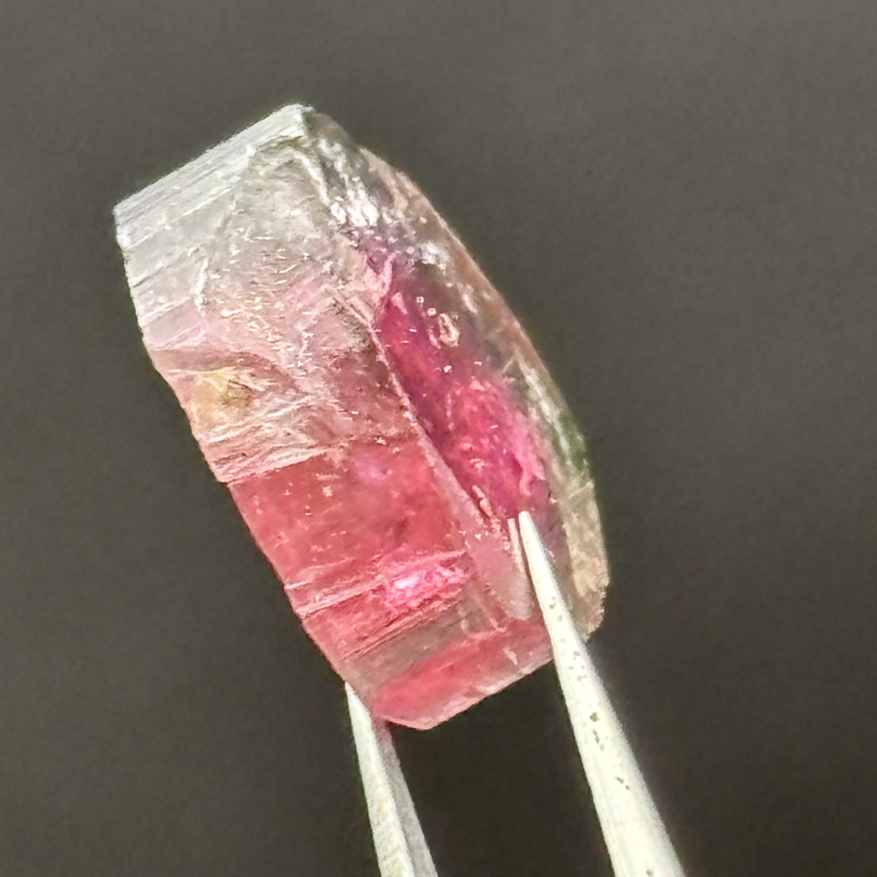 Watermelon Tourmaline Cross-Section - 079