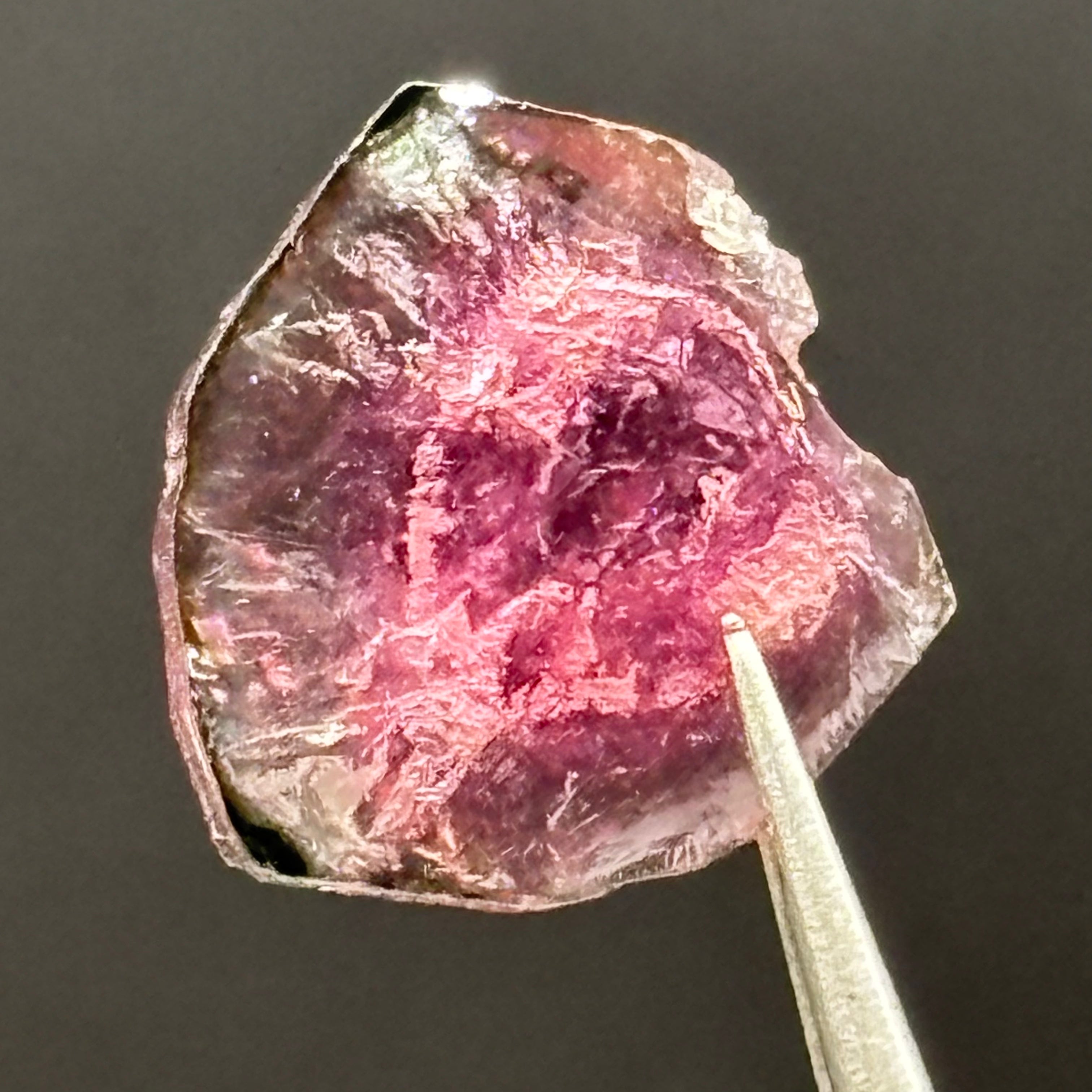 Watermelon Tourmaline Cross-Section - 079