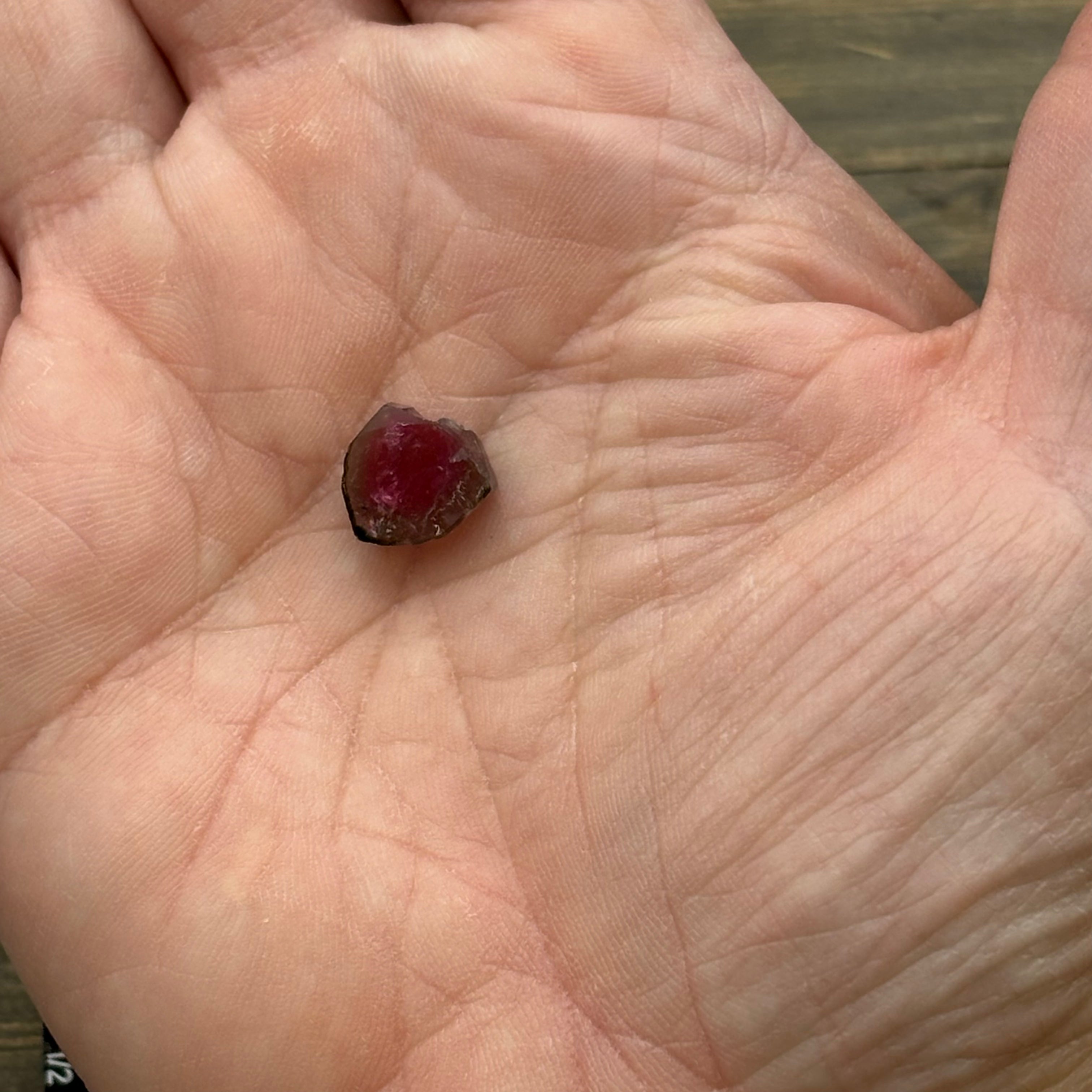 Watermelon Tourmaline Cross-Section - 079