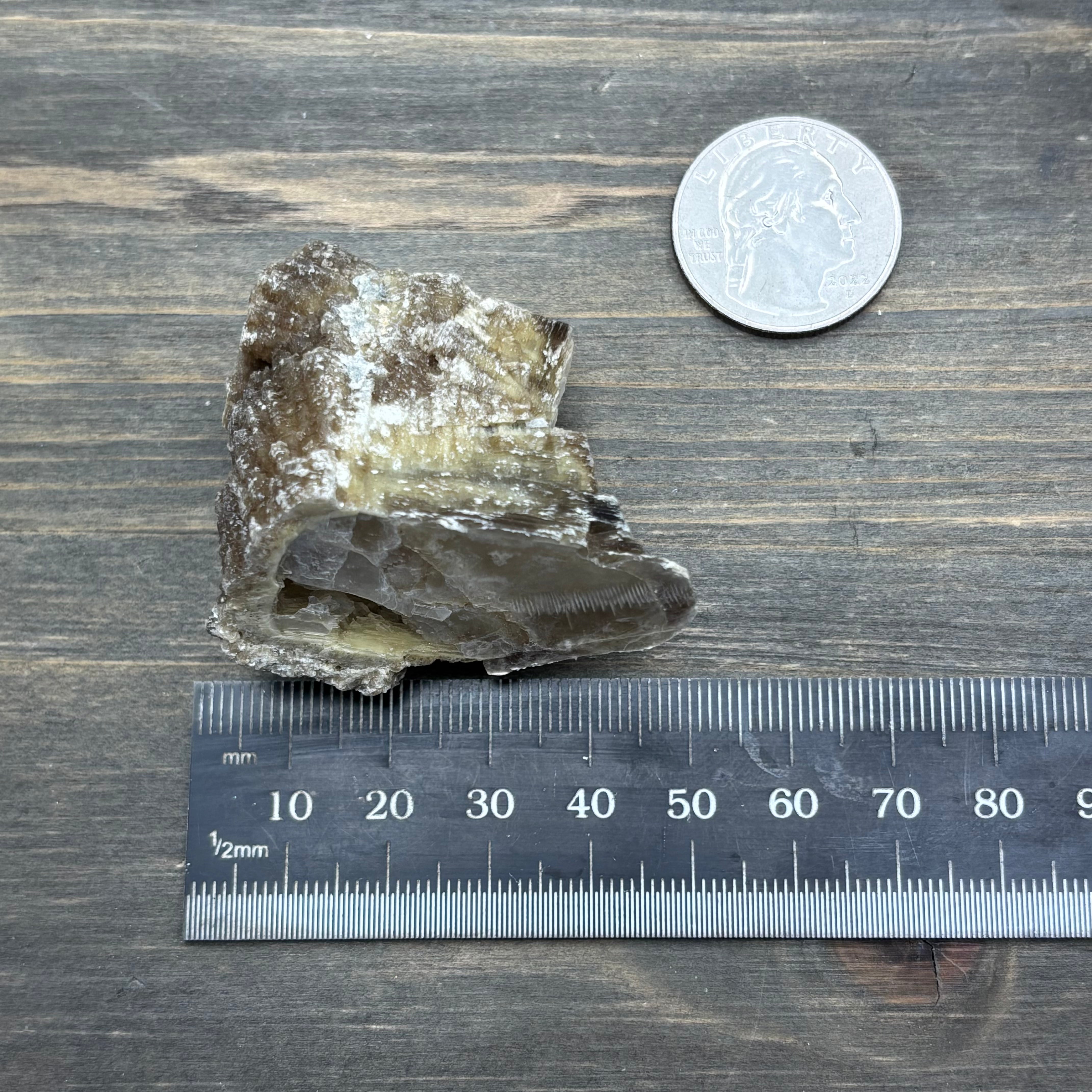 Green Gold Mica - 055