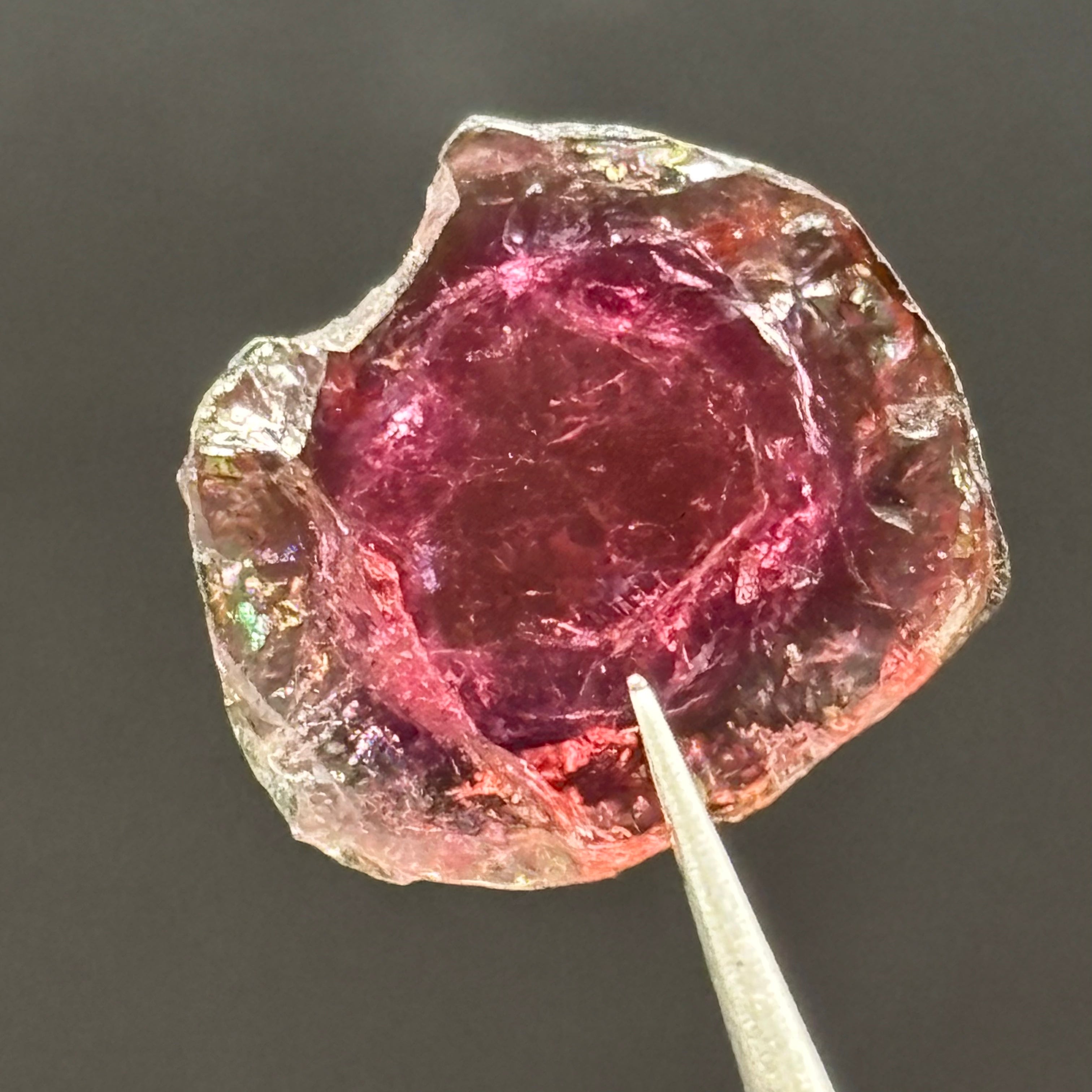 Watermelon Tourmaline Cross-Section - 080