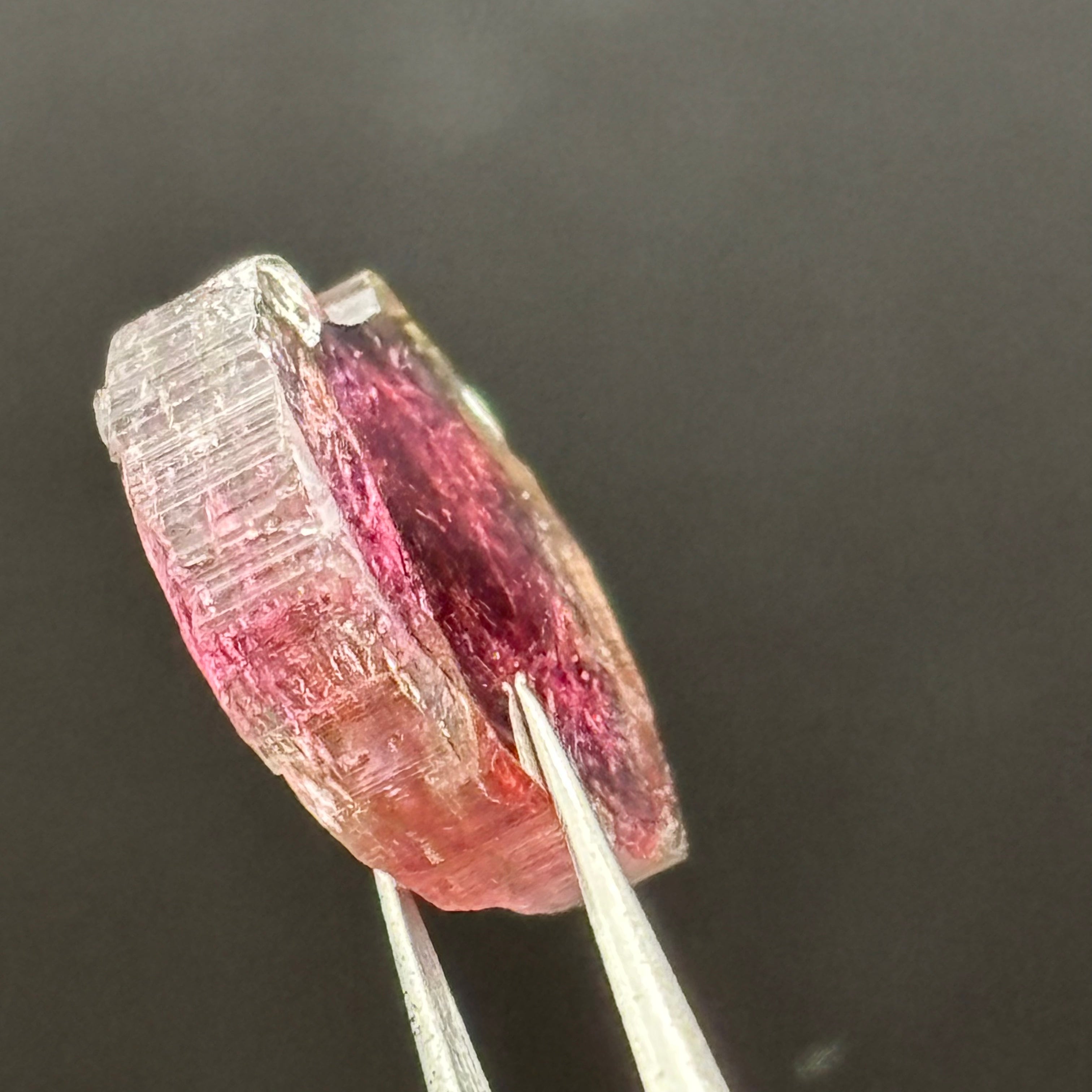 Watermelon Tourmaline Cross-Section - 080