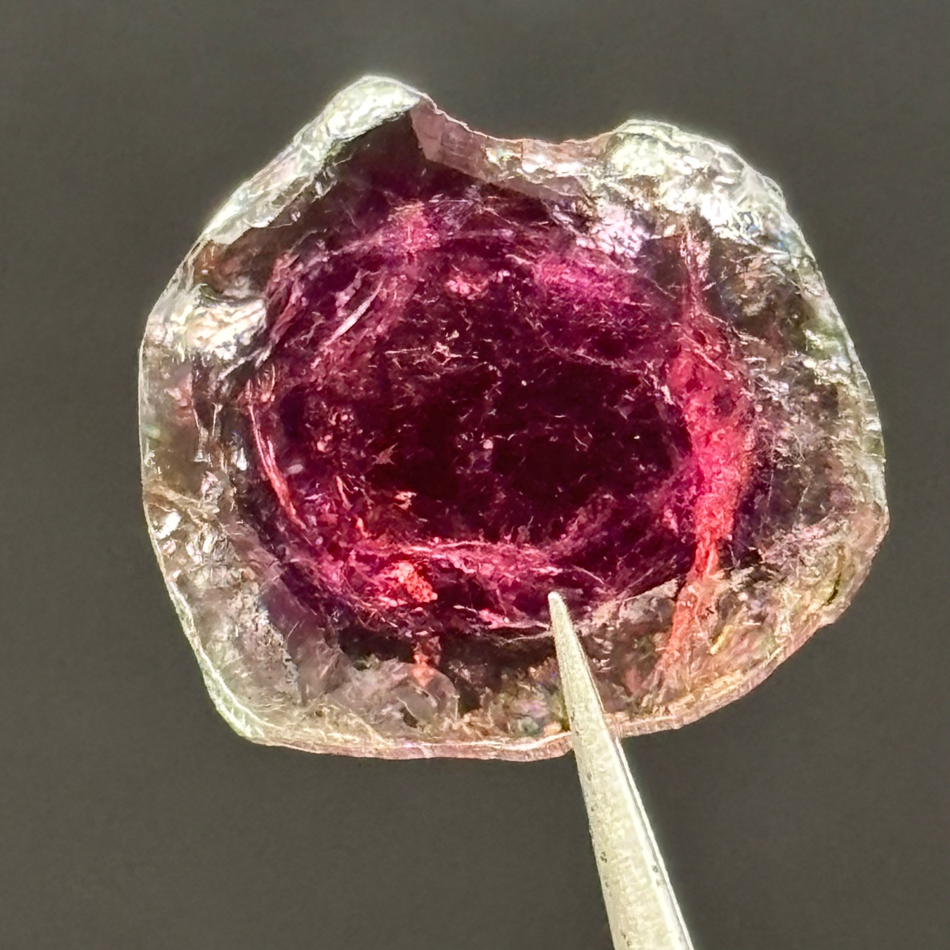 Watermelon Tourmaline Cross-Section - 080