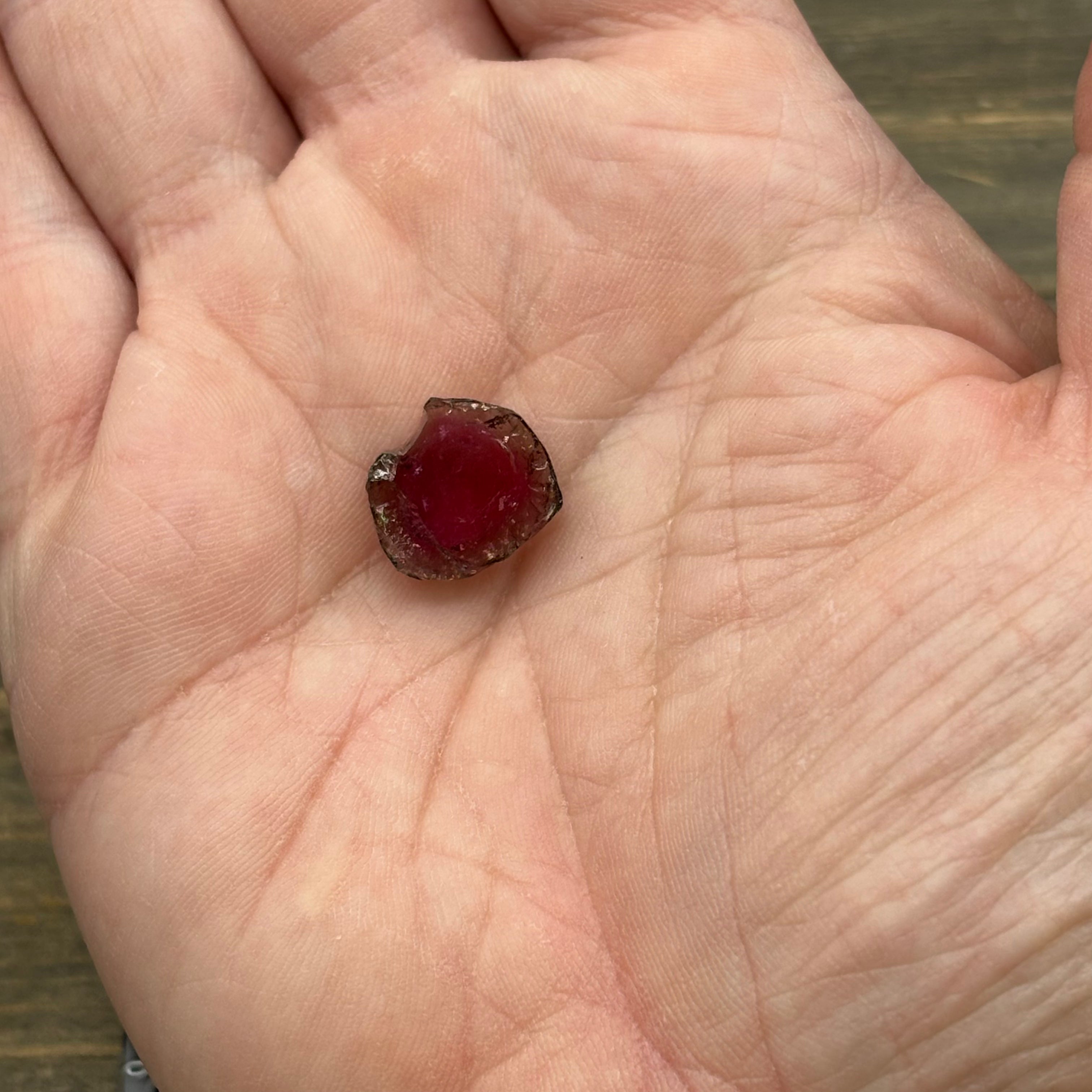 Watermelon Tourmaline Cross-Section - 080