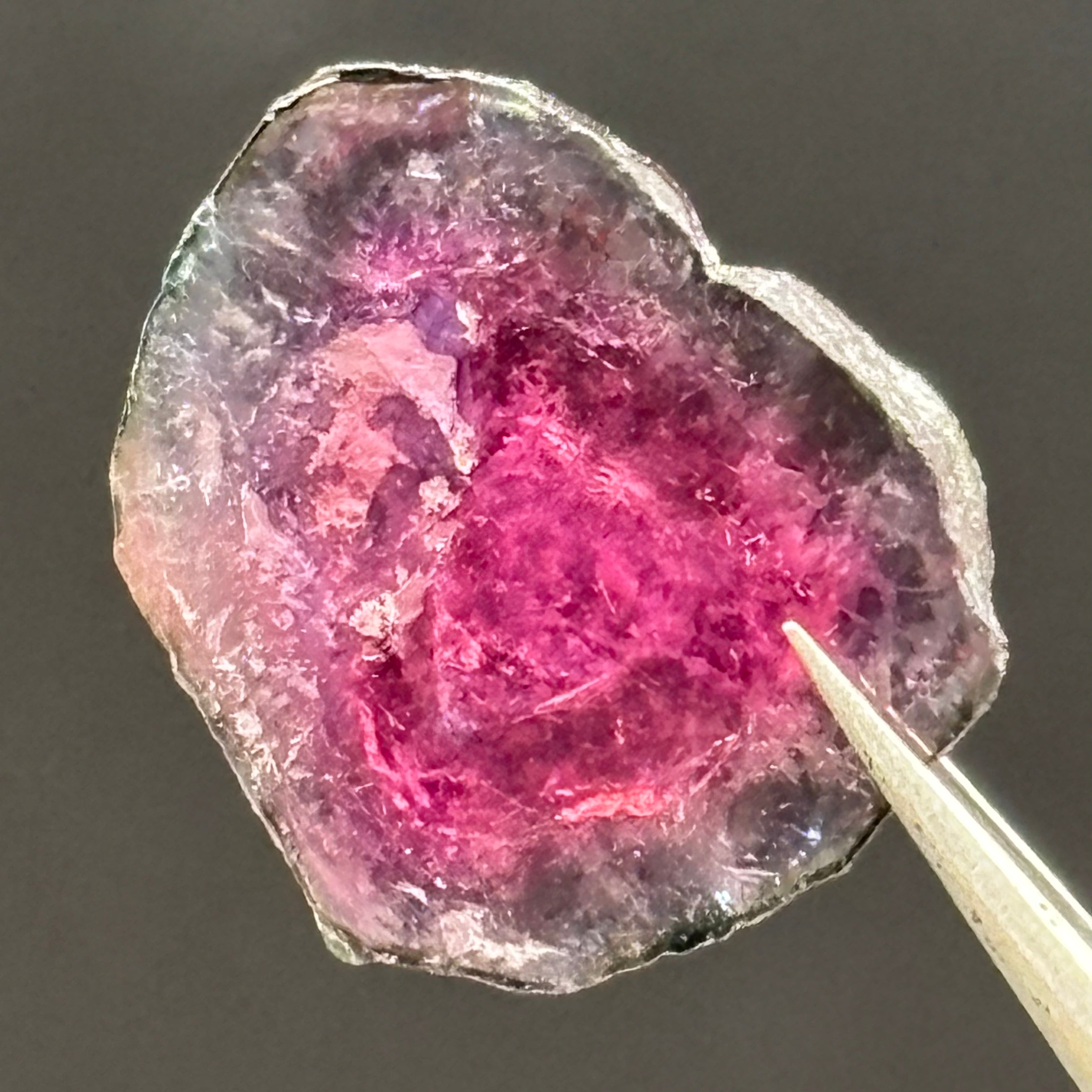 Watermelon Tourmaline Cross-Section - 081