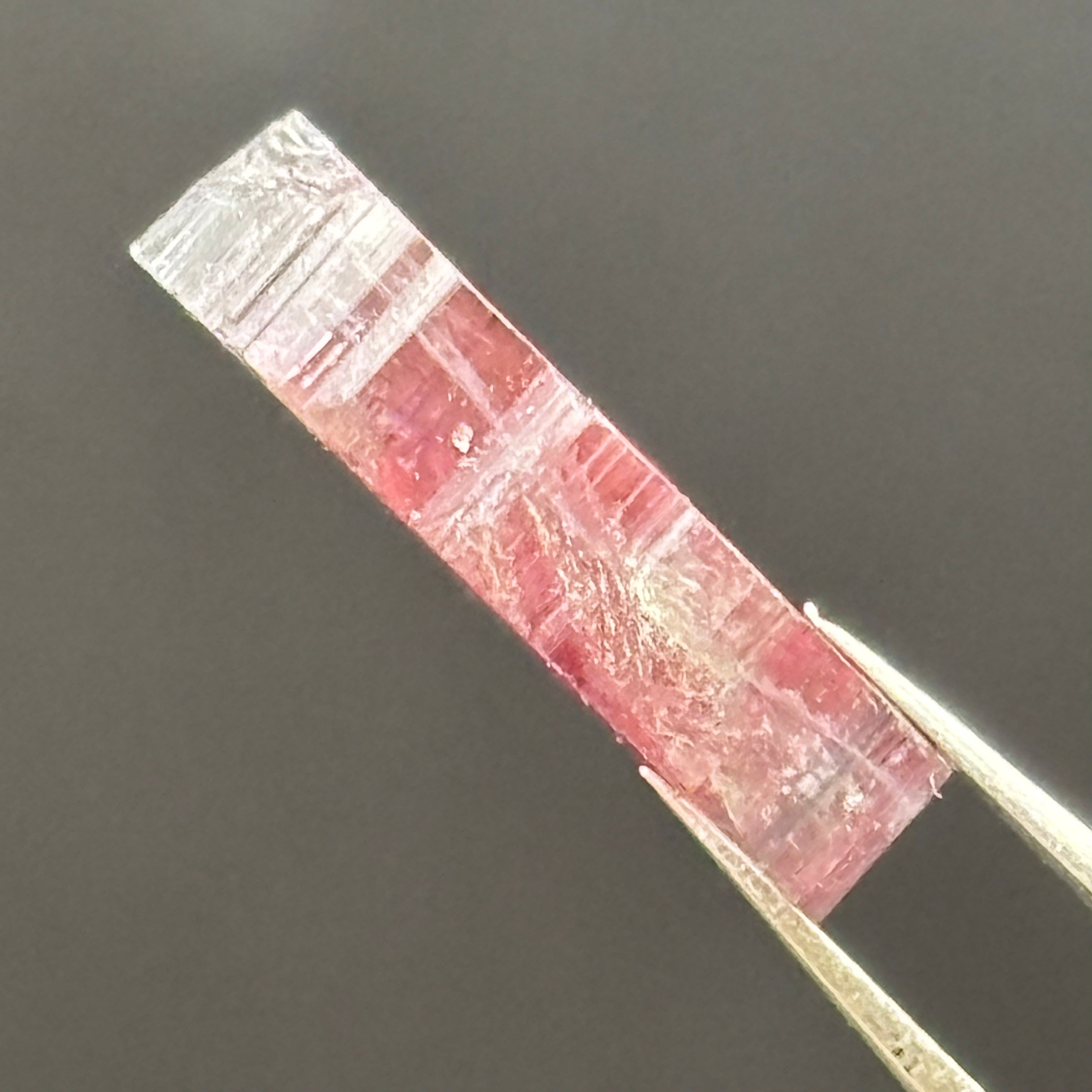 Watermelon Tourmaline Cross-Section - 081