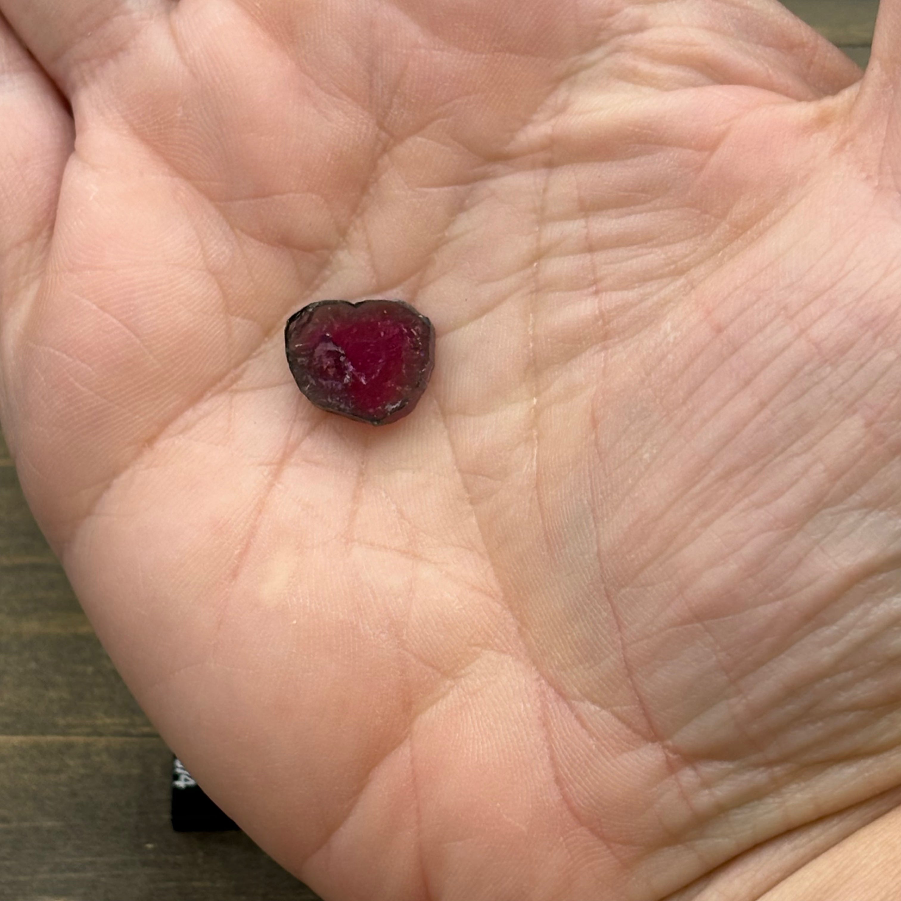 Watermelon Tourmaline Cross-Section - 081