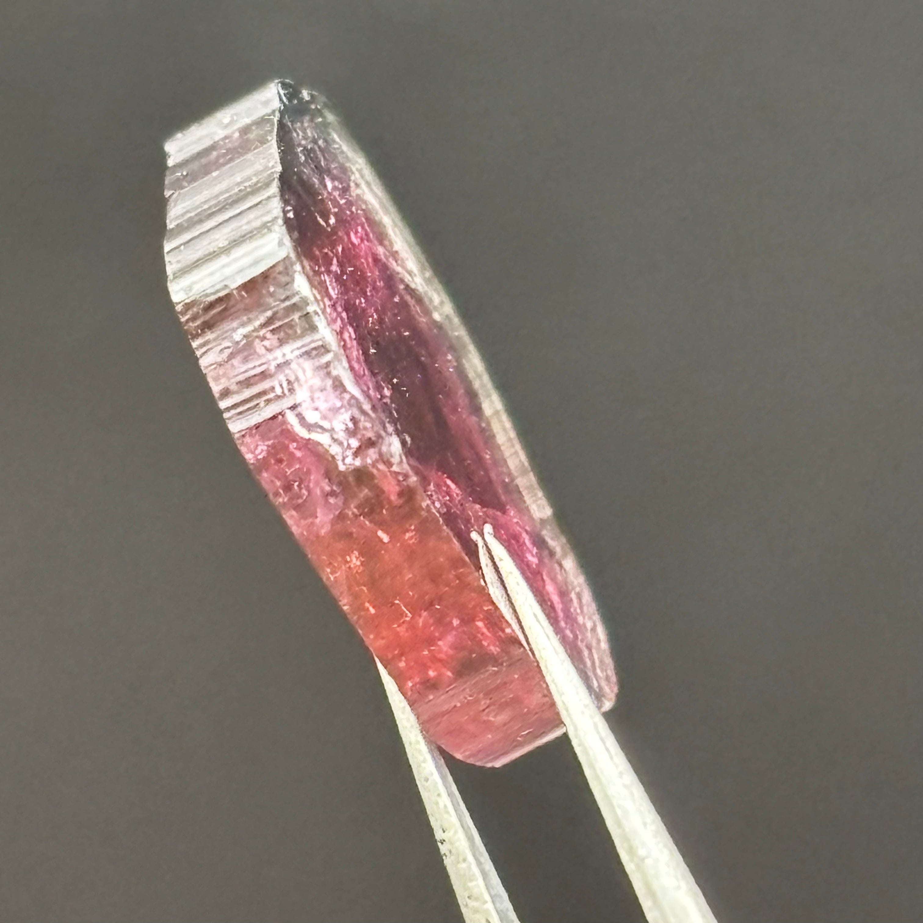 Watermelon Tourmaline Cross-Section - 082