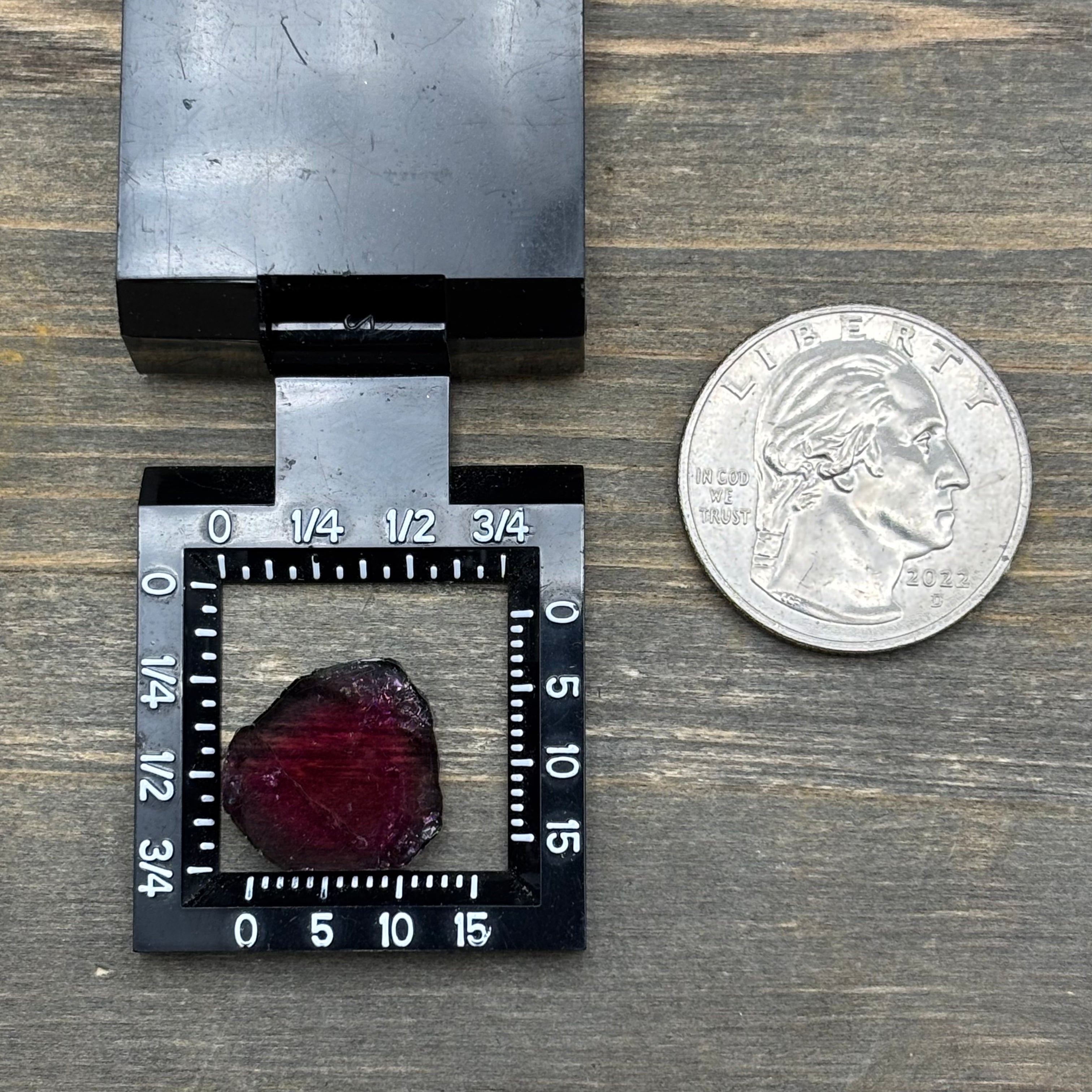 Watermelon Tourmaline Cross-Section - 082