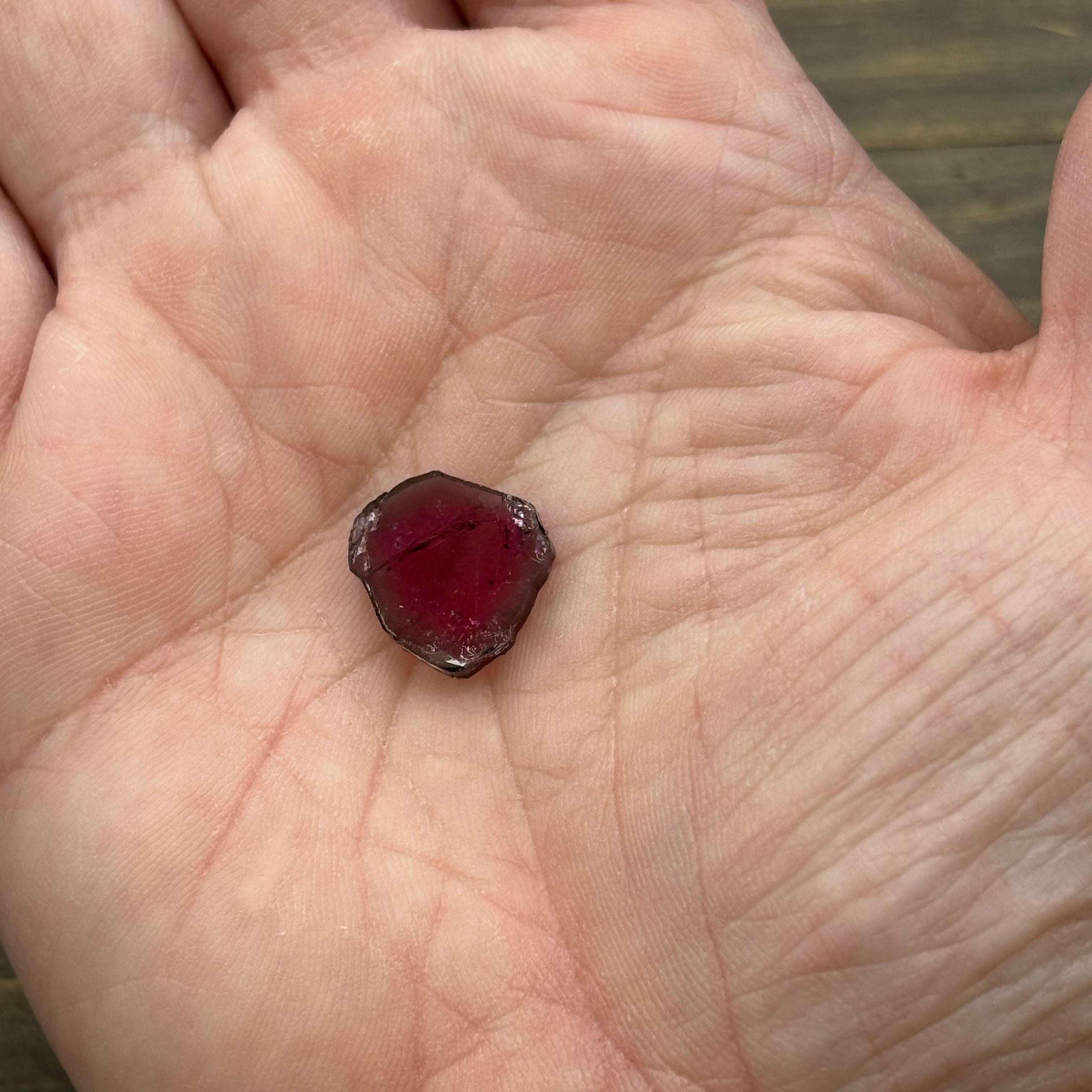 Watermelon Tourmaline Cross-Section - 082