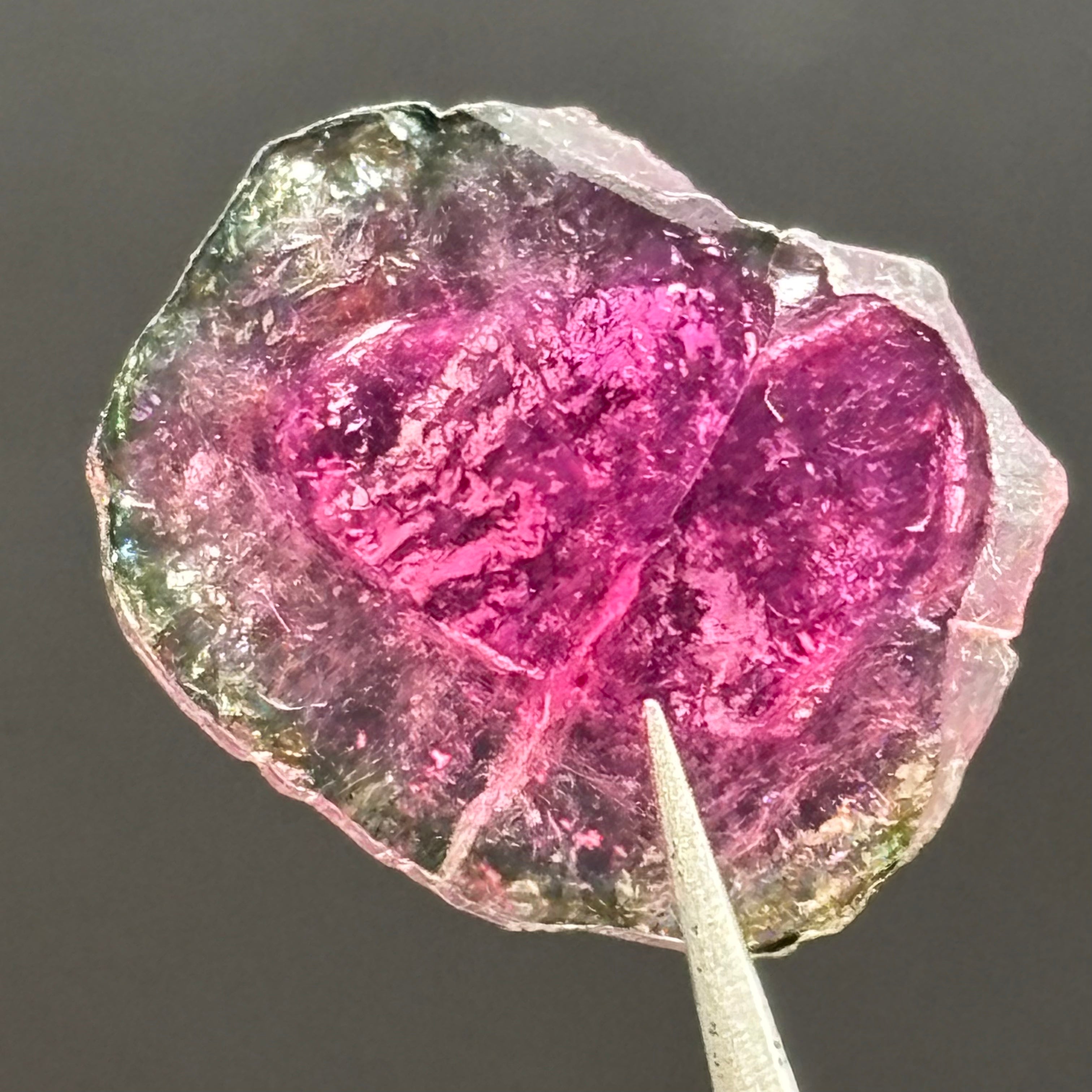Watermelon Tourmaline Cross-Section - 083