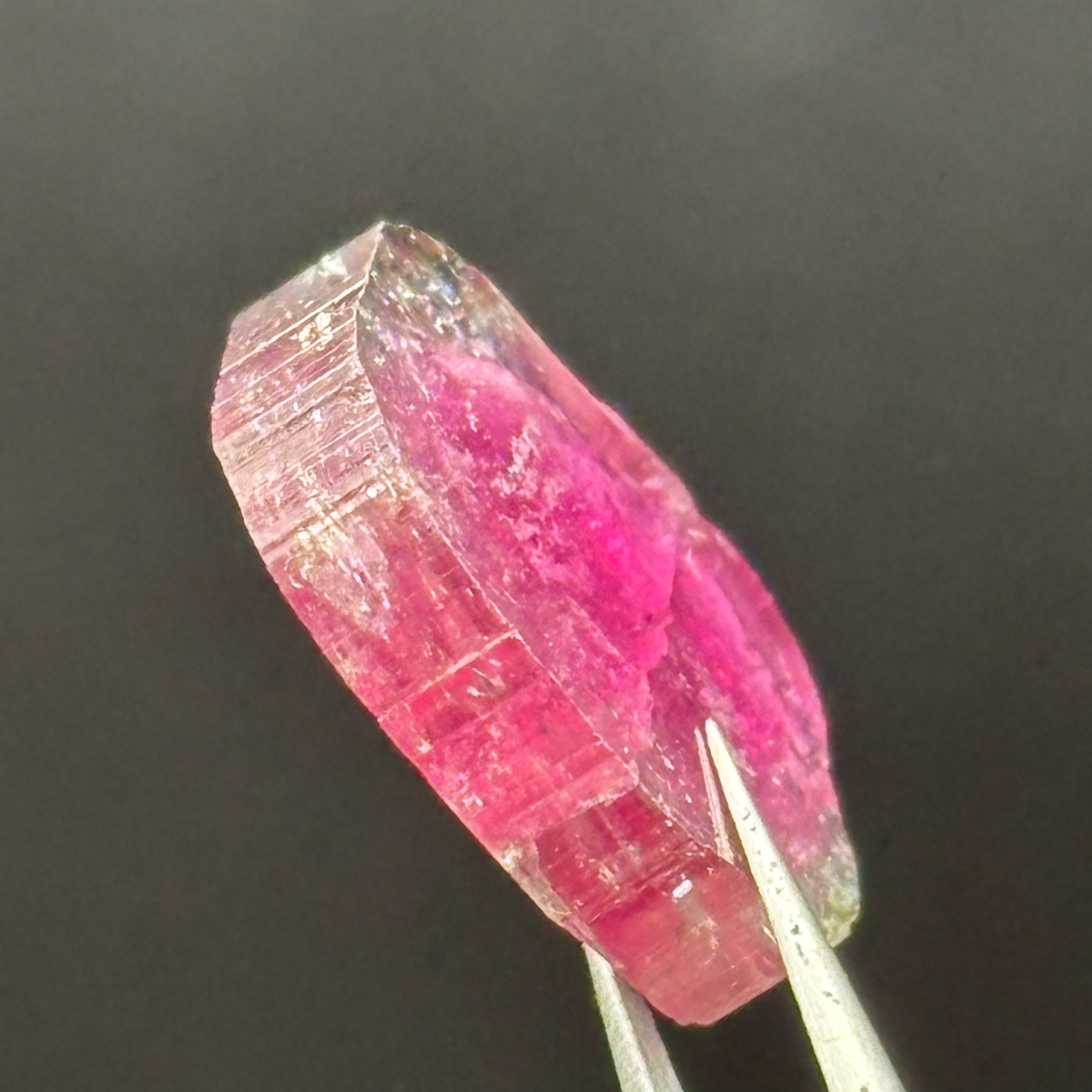 Watermelon Tourmaline Cross-Section - 083