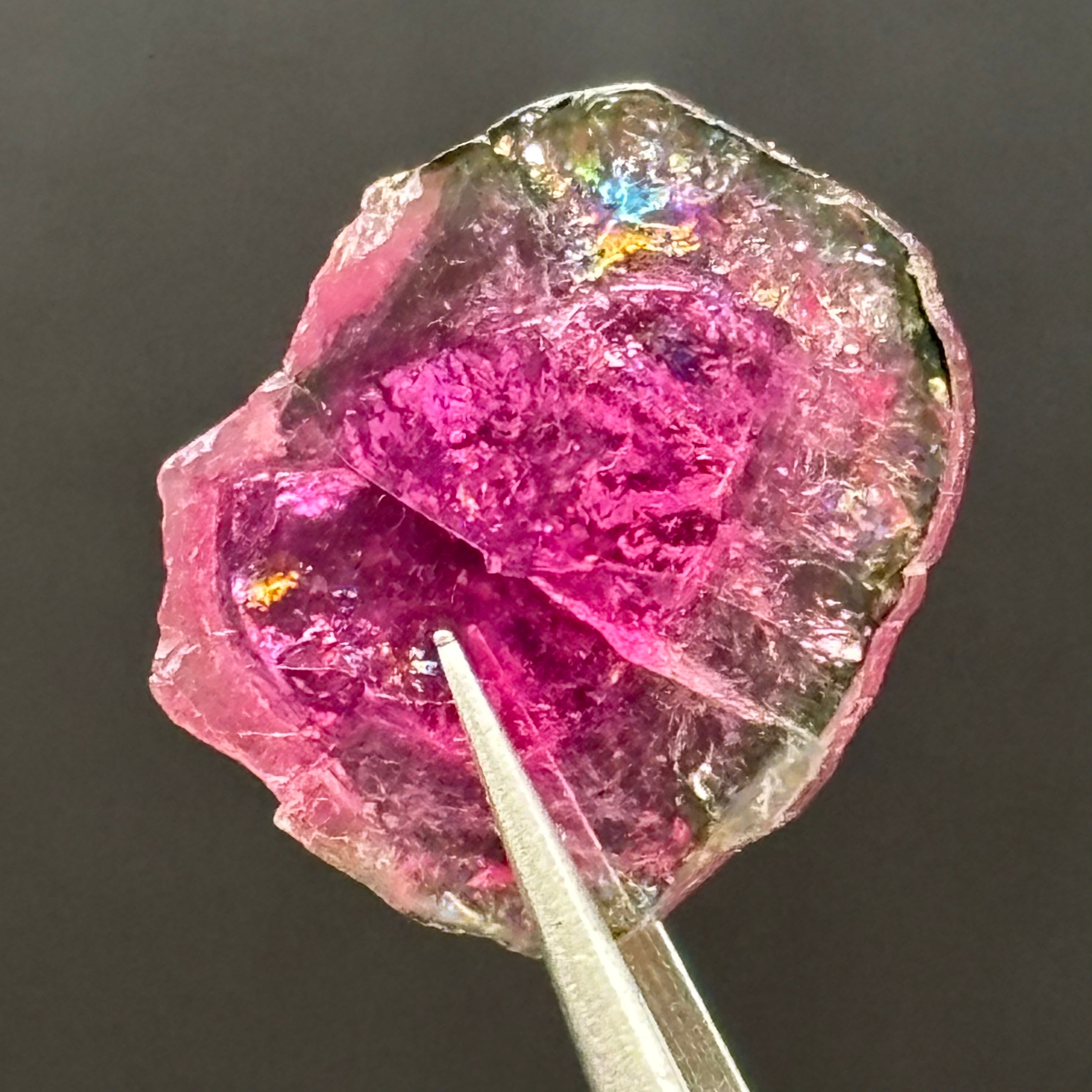 Watermelon Tourmaline Cross-Section - 083