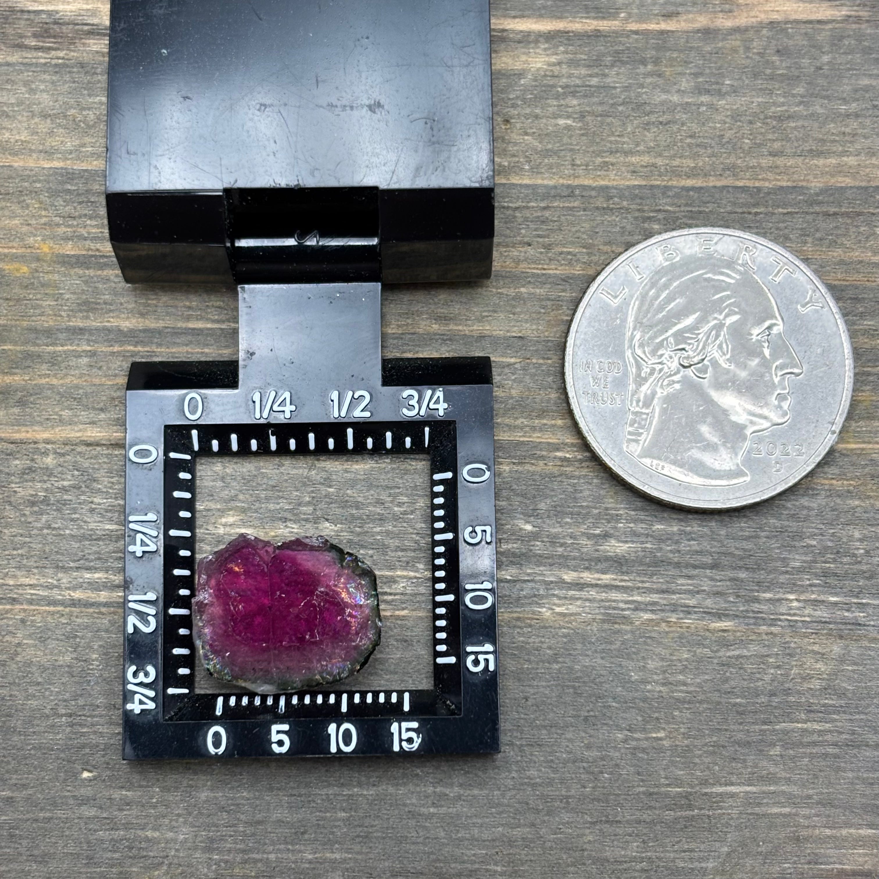 Watermelon Tourmaline Cross-Section - 083