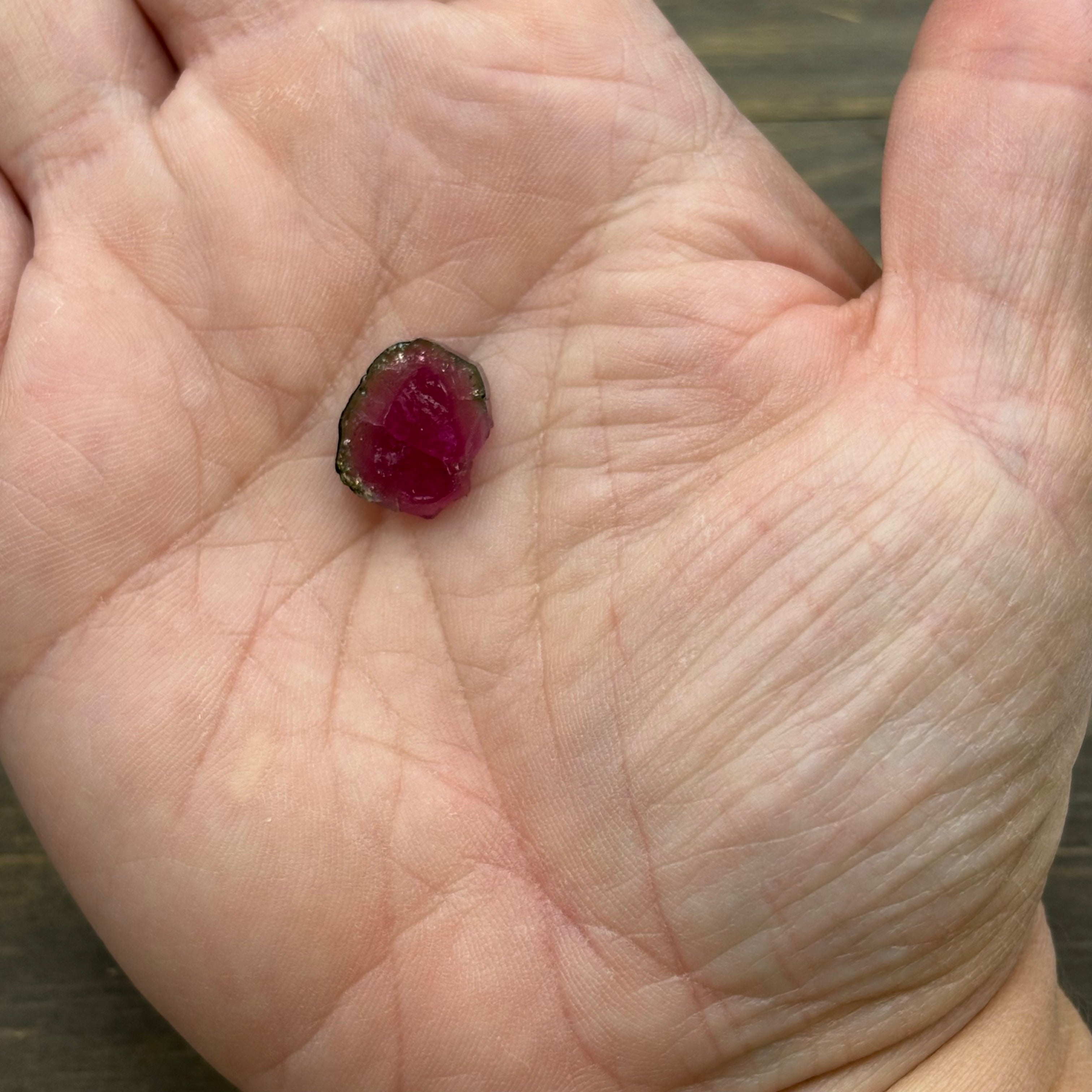 Watermelon Tourmaline Cross-Section - 083