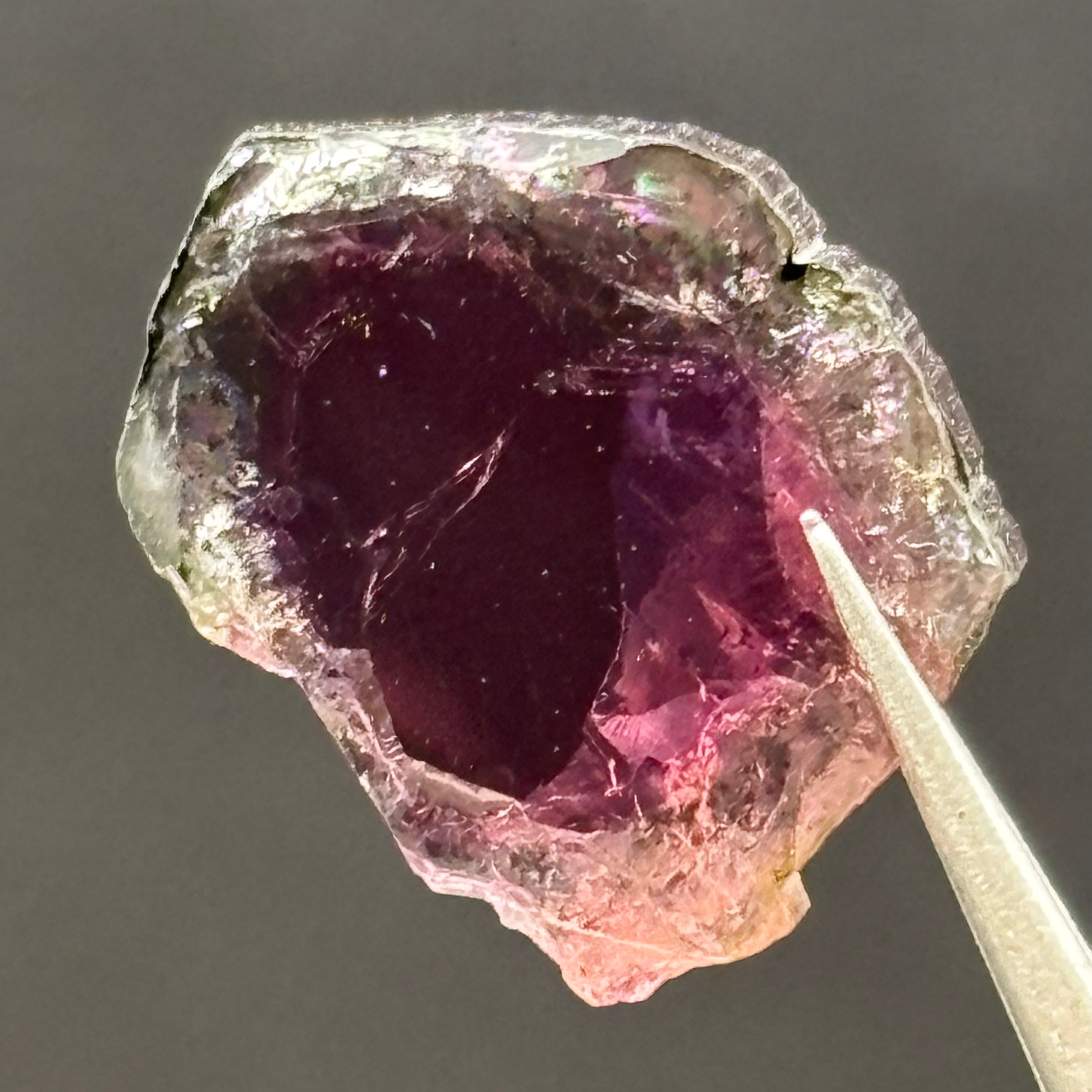 Watermelon Tourmaline Cross-Section - 084