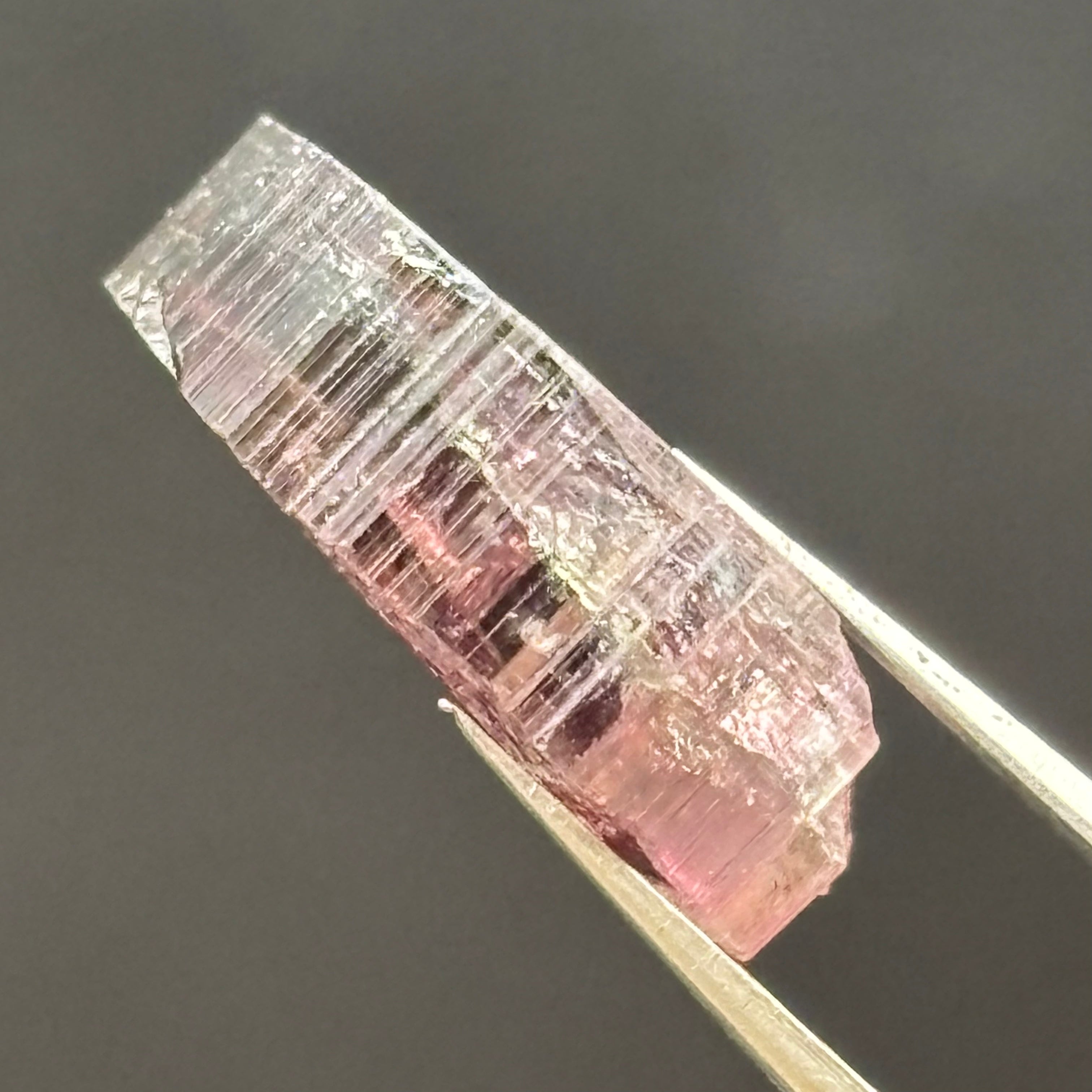 Watermelon Tourmaline Cross-Section - 084
