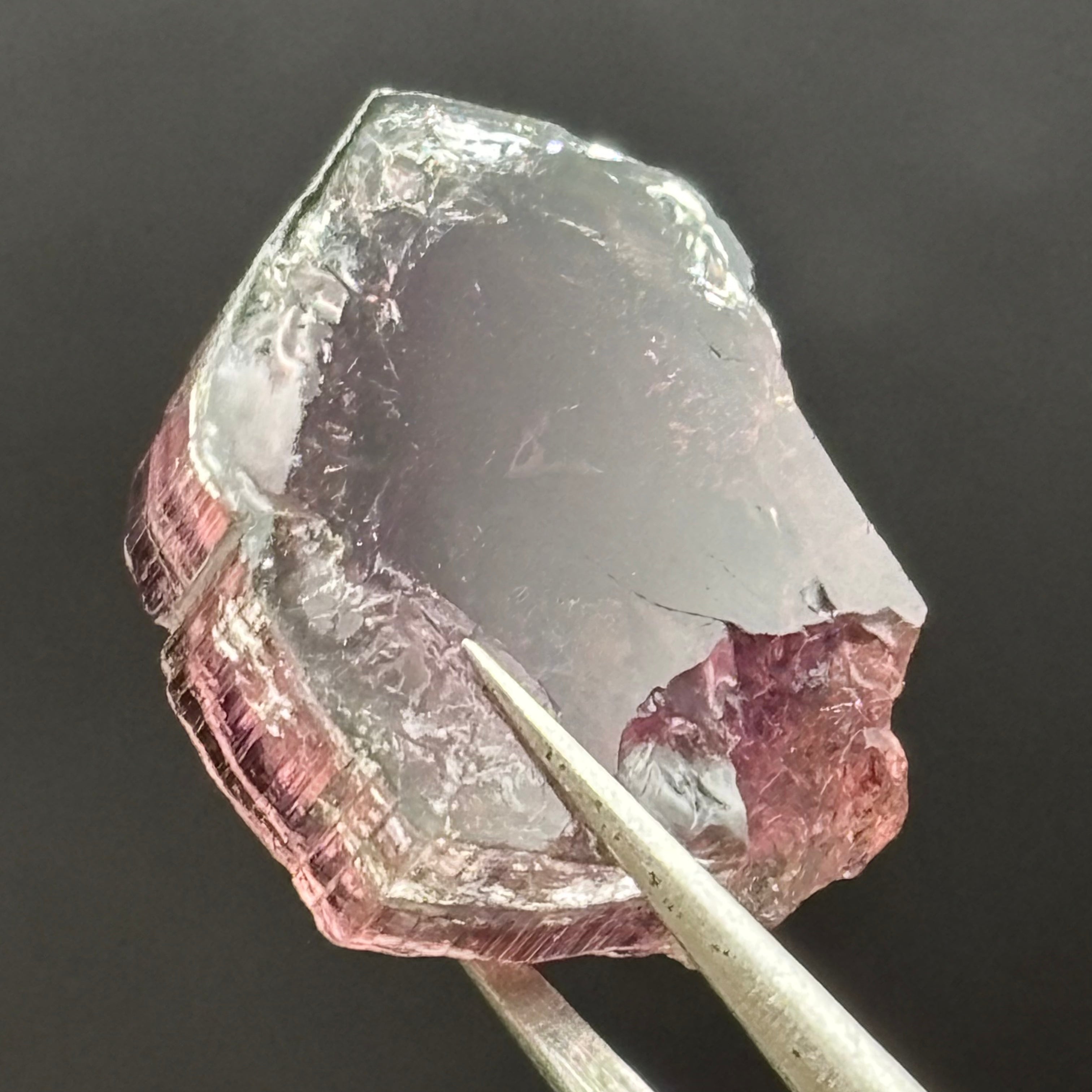 Watermelon Tourmaline Cross-Section - 084