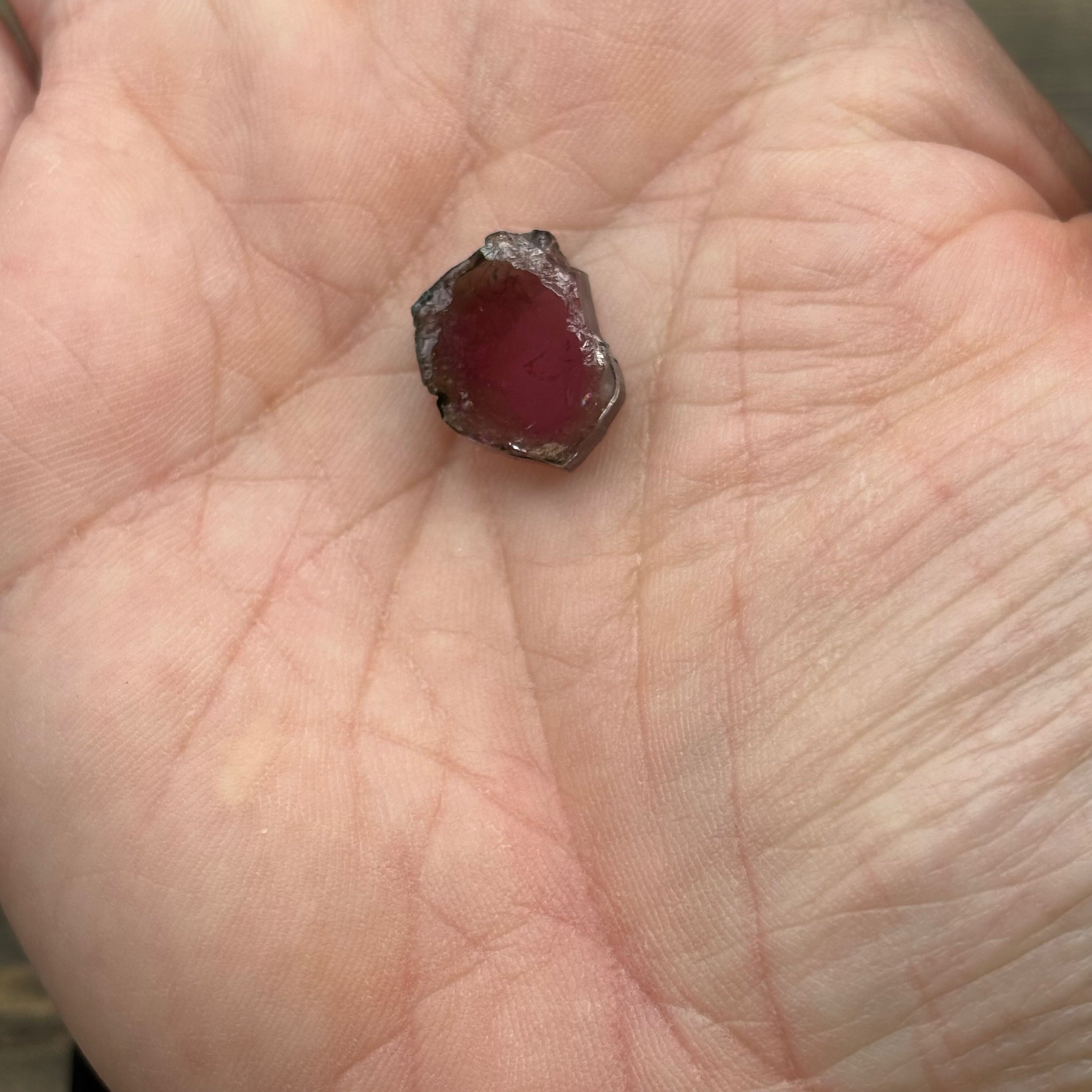 Watermelon Tourmaline Cross-Section - 084