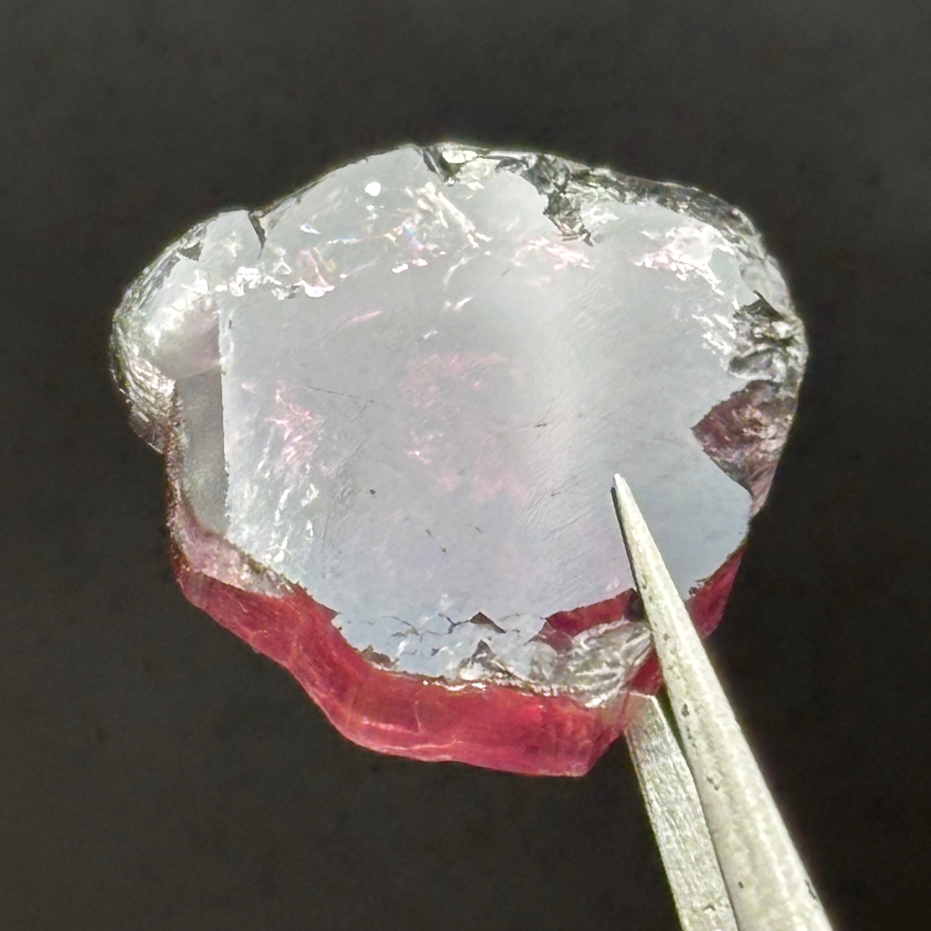 Watermelon Tourmaline Cross-Section - 085