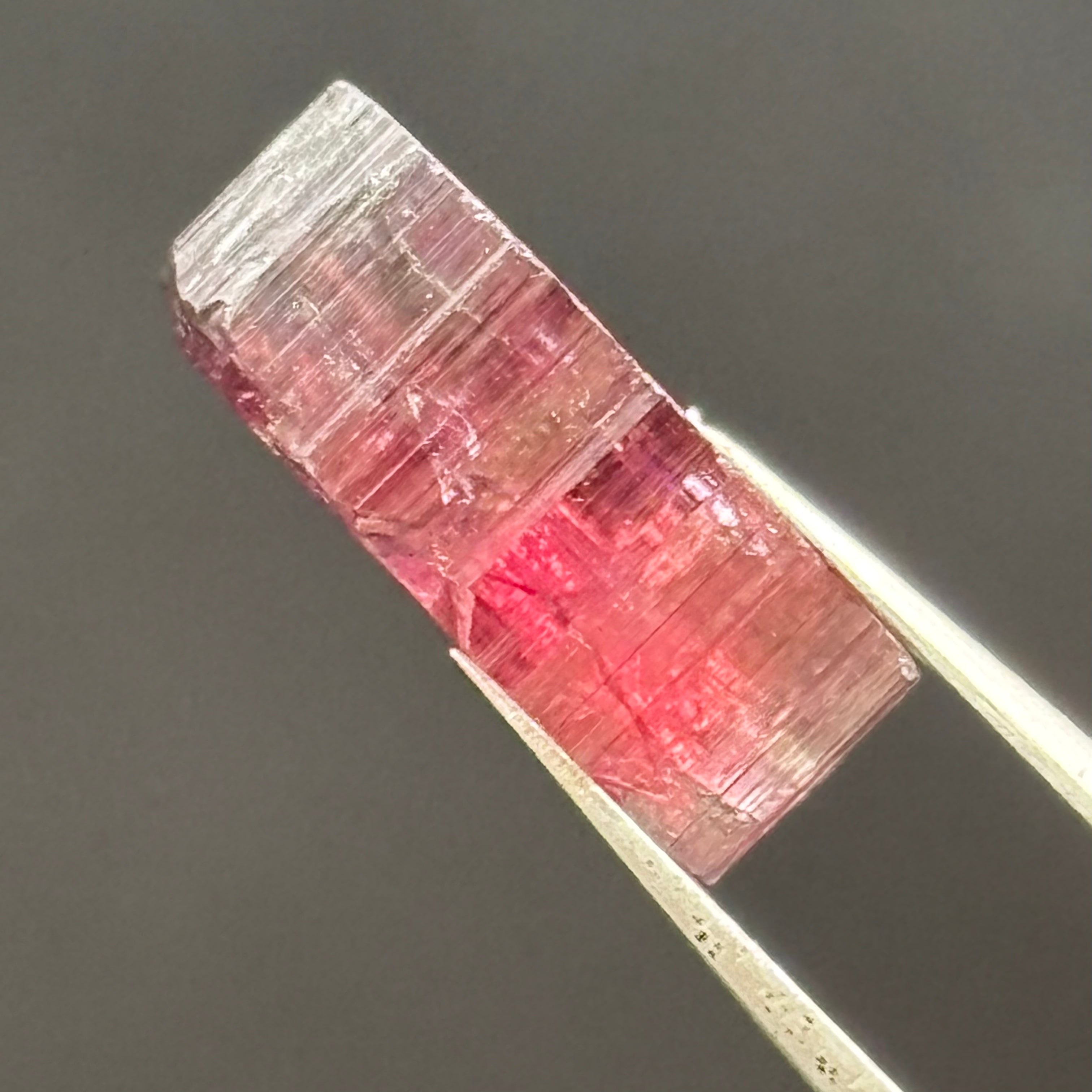 Watermelon Tourmaline Cross-Section - 085