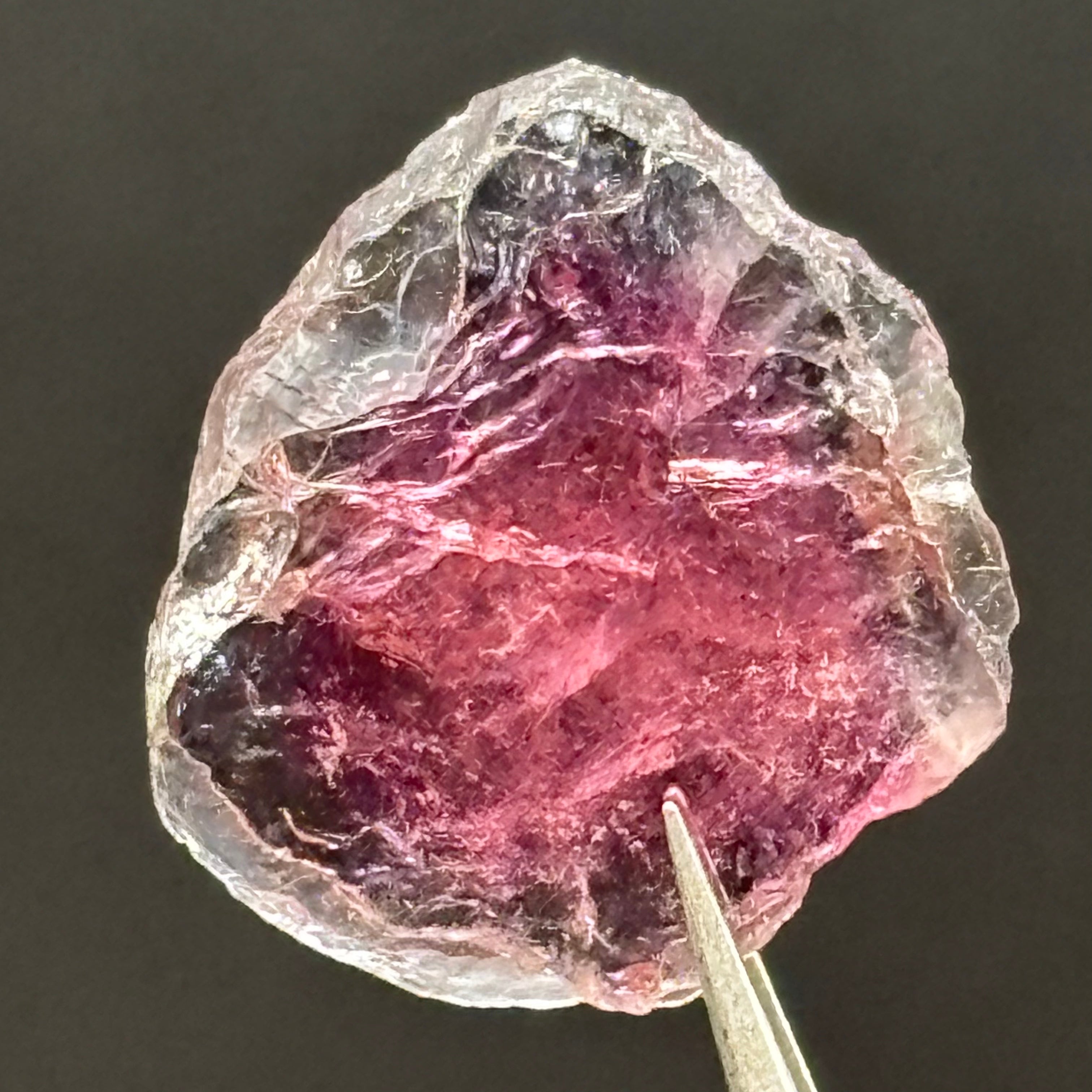 Watermelon Tourmaline Cross-Section - 086