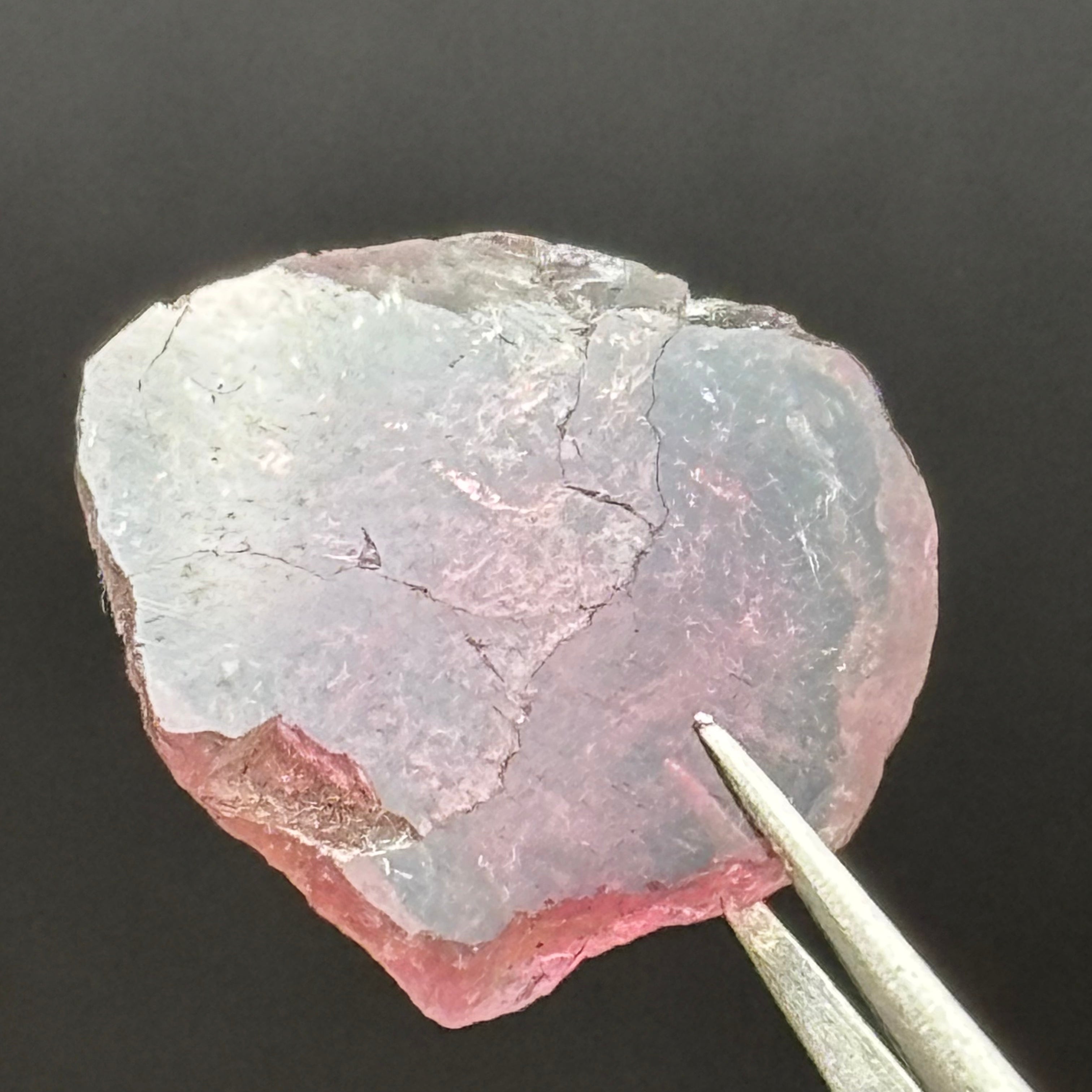 Watermelon Tourmaline Cross-Section - 086
