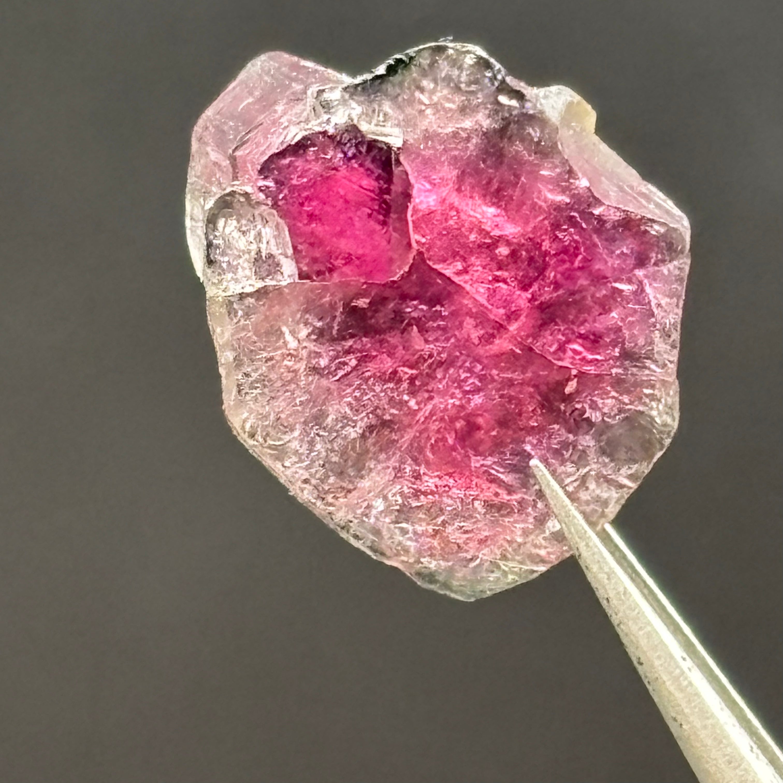 Watermelon Tourmaline Cross-Section - 087