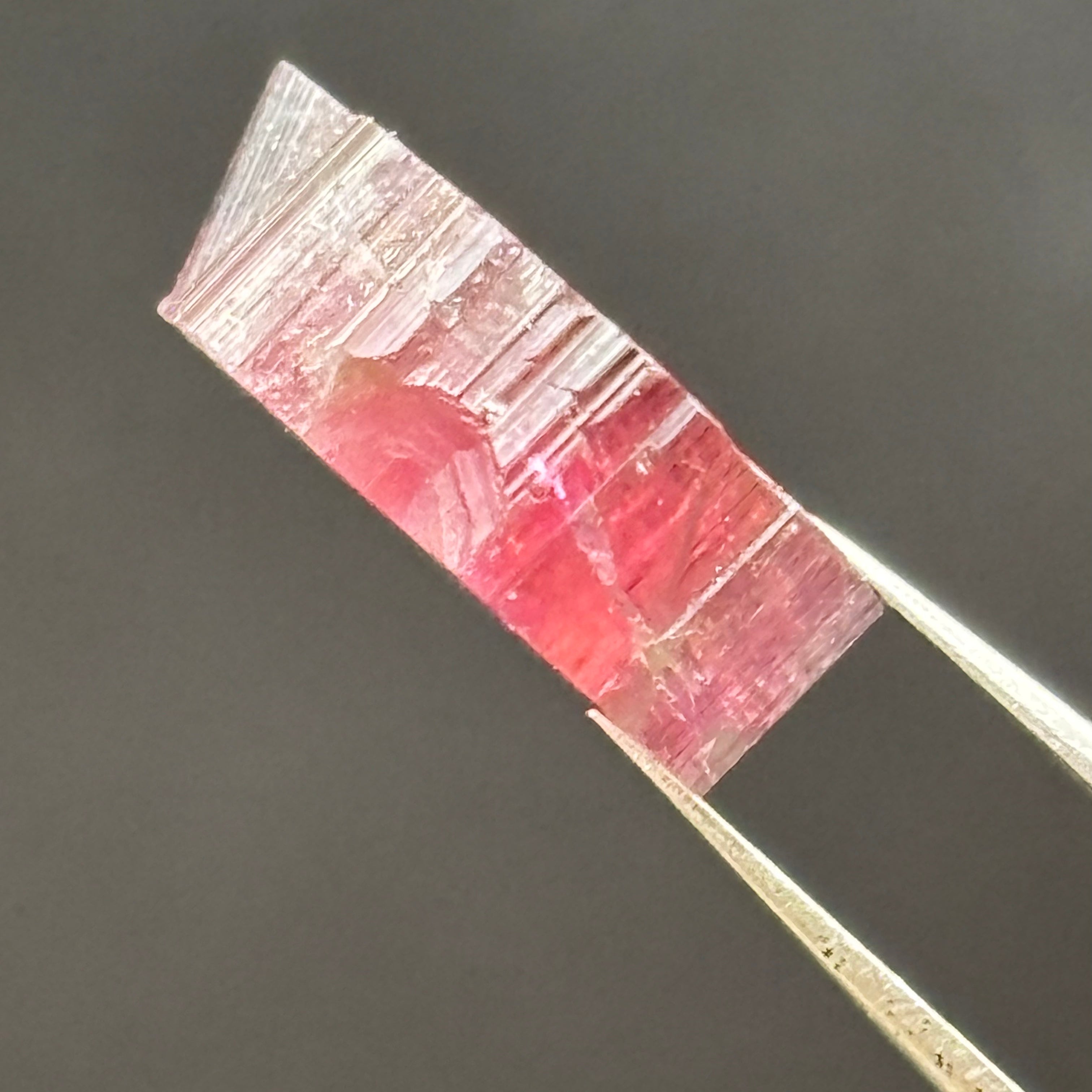 Watermelon Tourmaline Cross-Section - 087