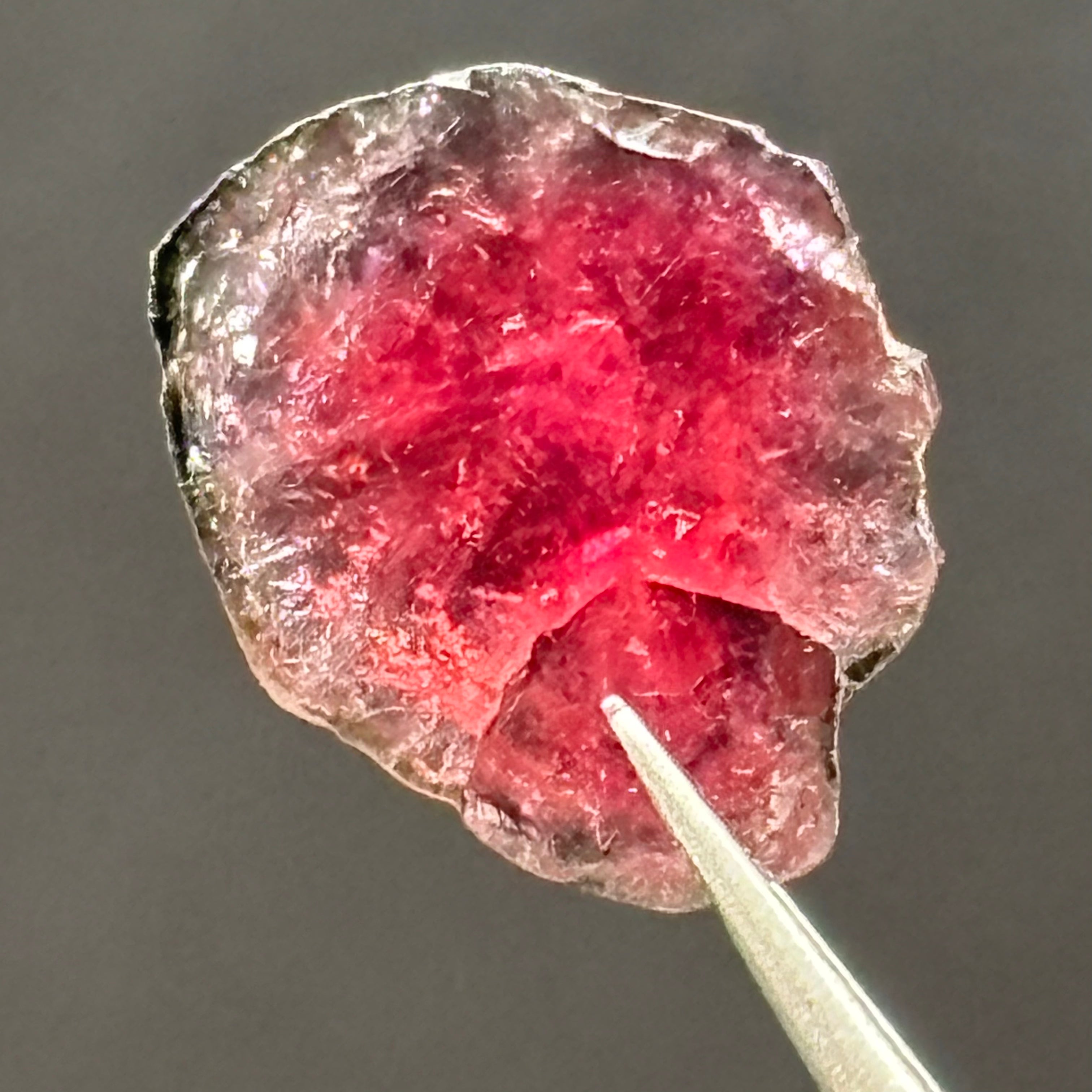 Watermelon Tourmaline Cross-Section - 087
