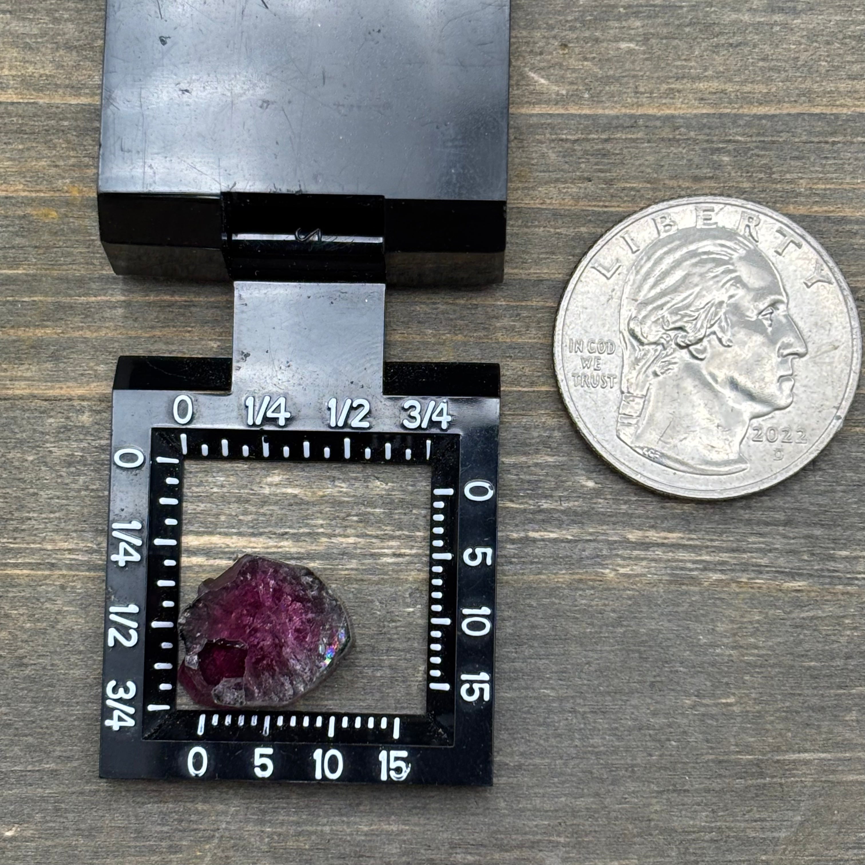Watermelon Tourmaline Cross-Section - 087