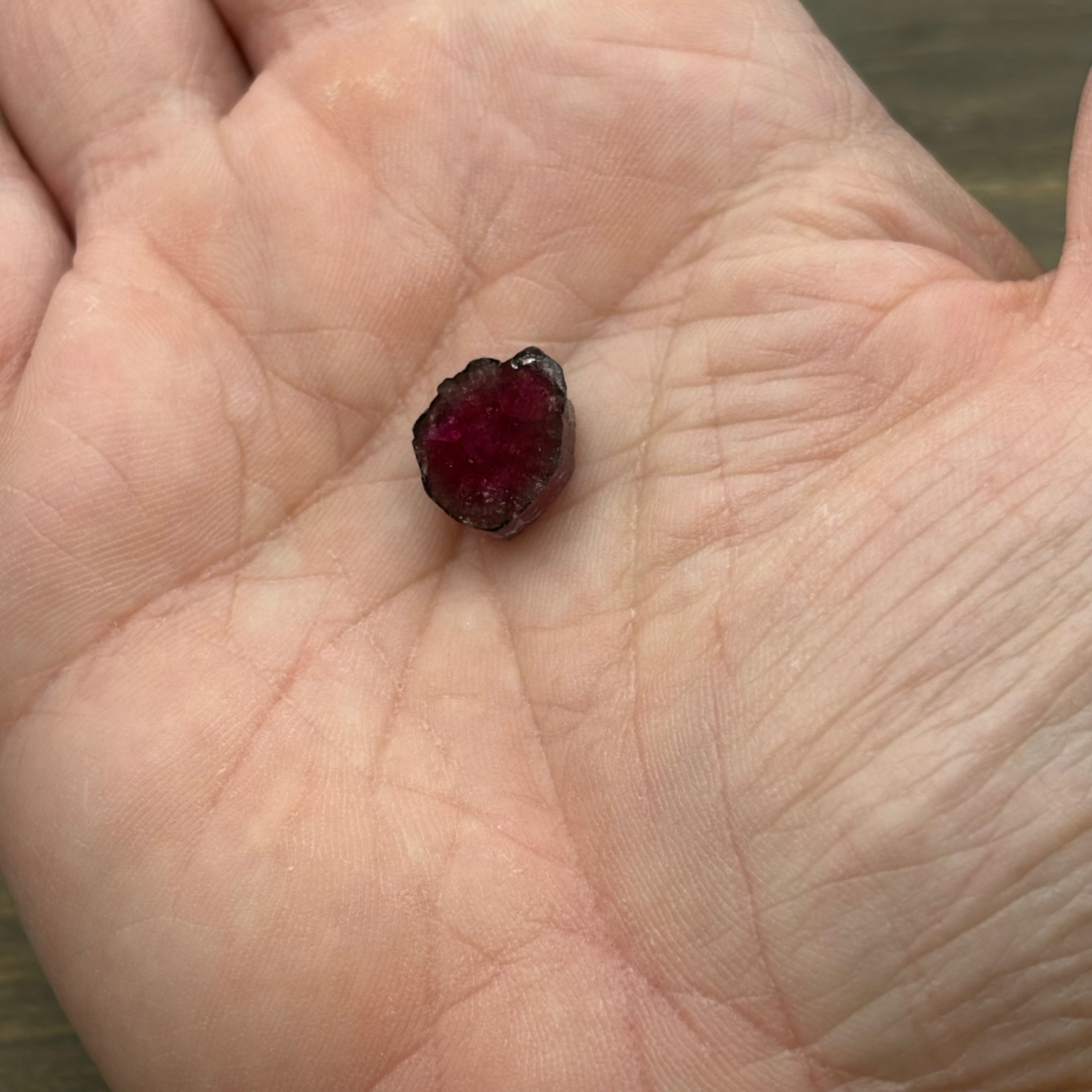Watermelon Tourmaline Cross-Section - 087