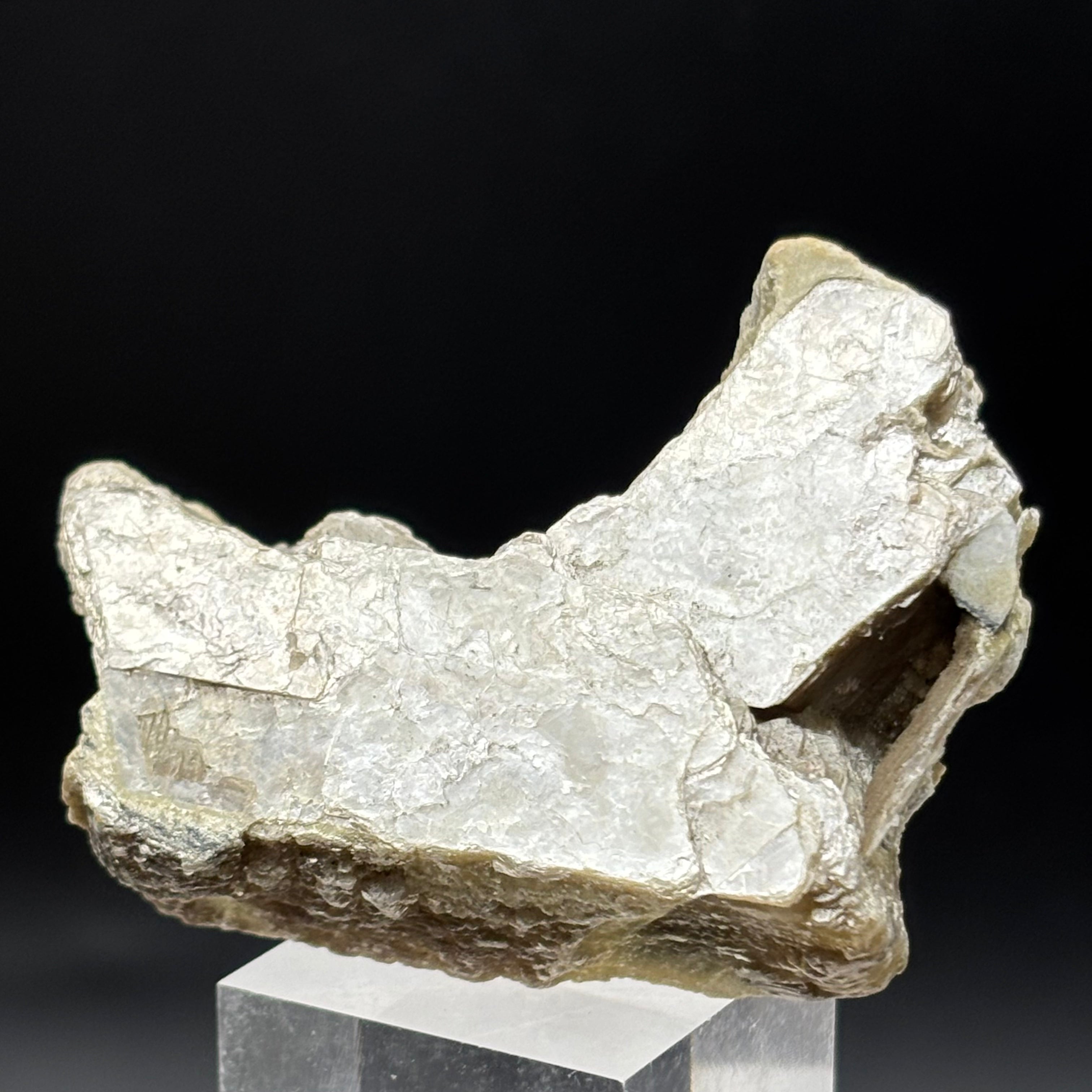 Green Gold Mica - 064