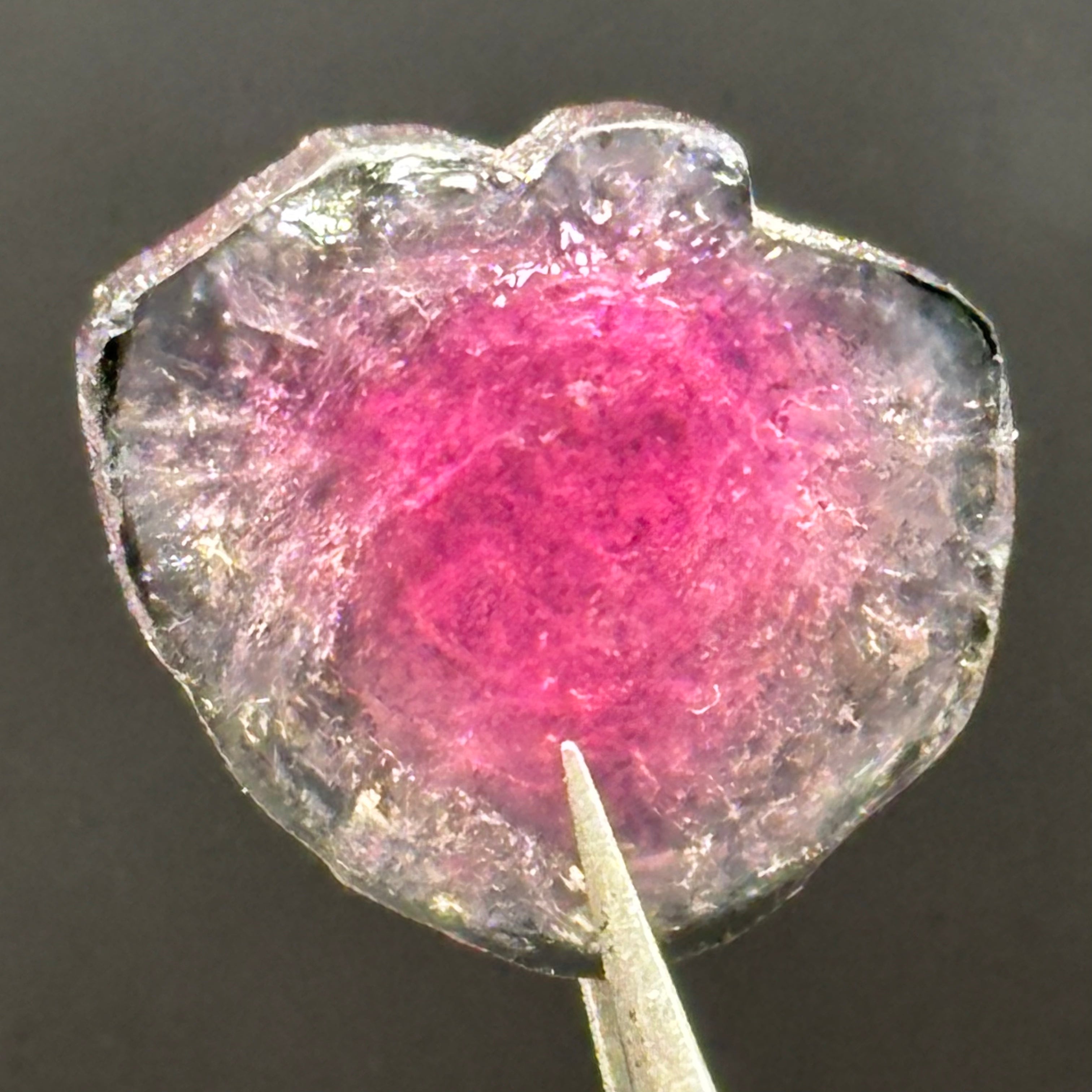 Watermelon Tourmaline Cross-Section - 088