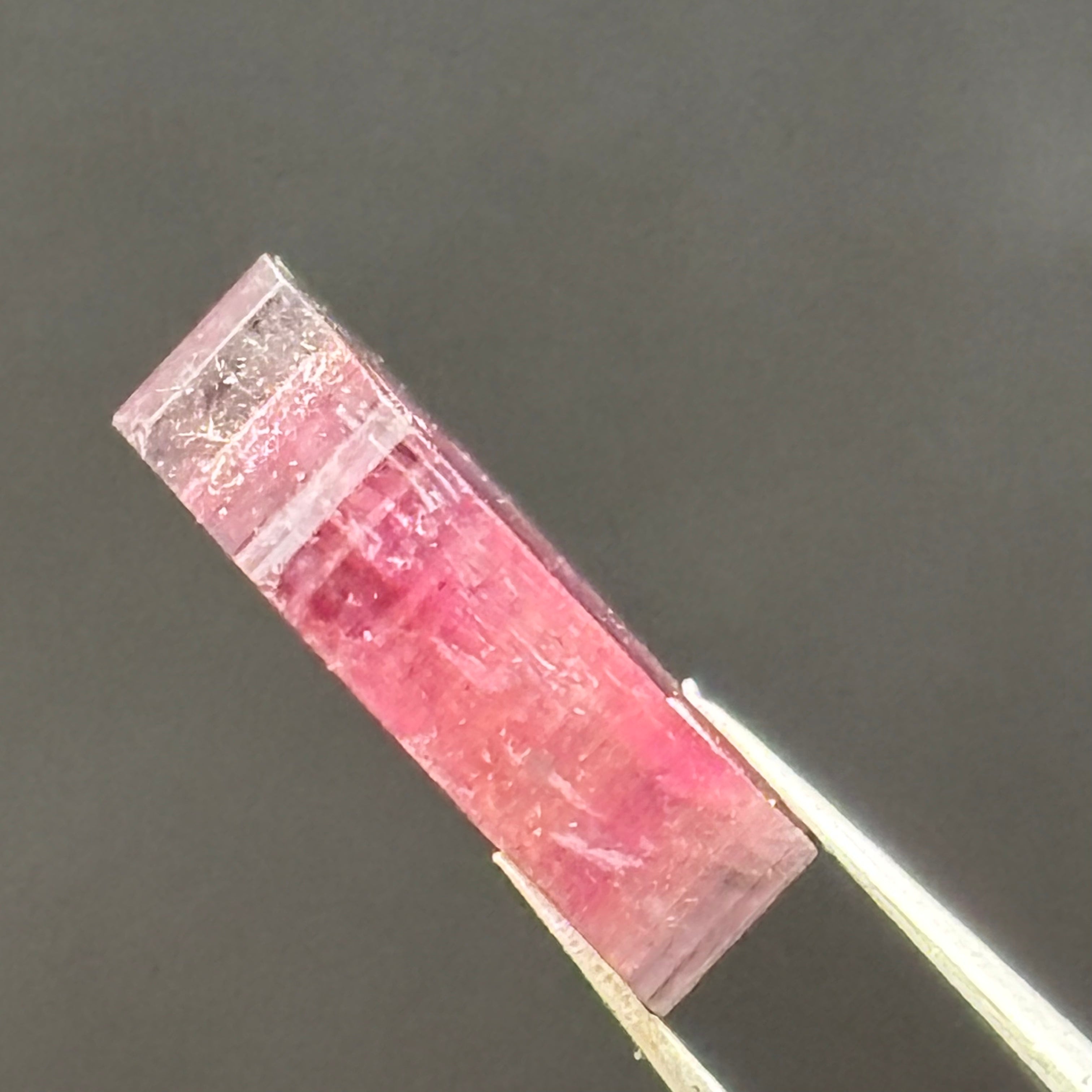 Watermelon Tourmaline Cross-Section - 088