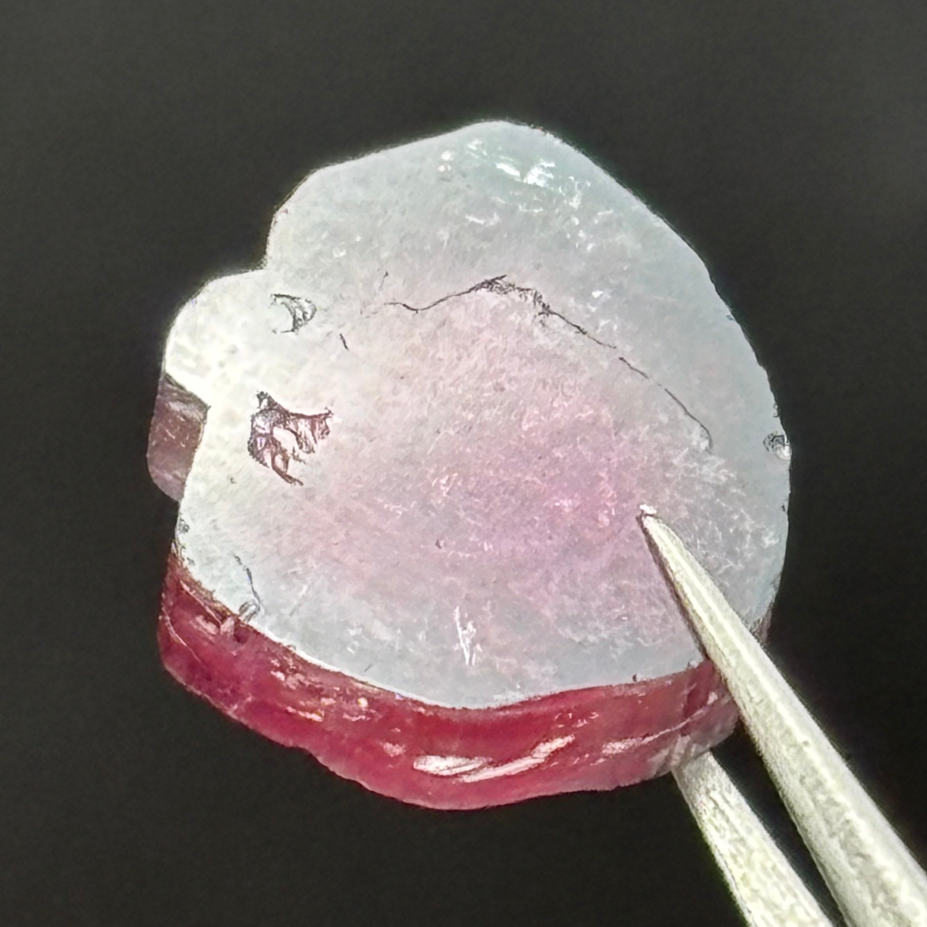 Watermelon Tourmaline Cross-Section - 088