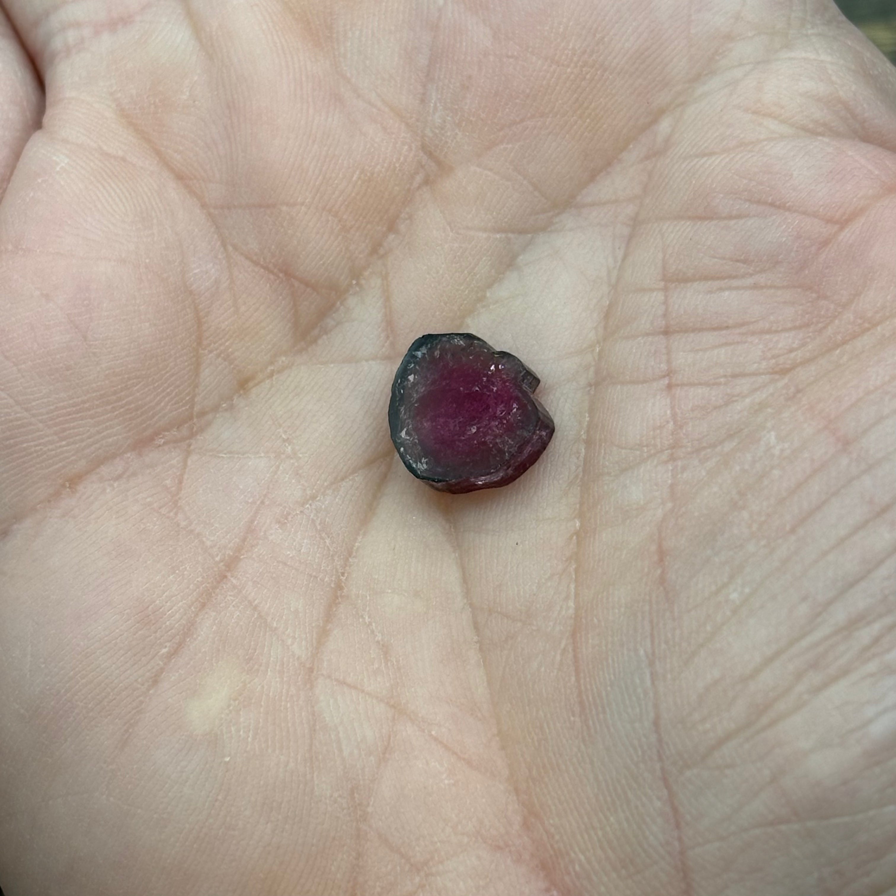 Watermelon Tourmaline Cross-Section - 088