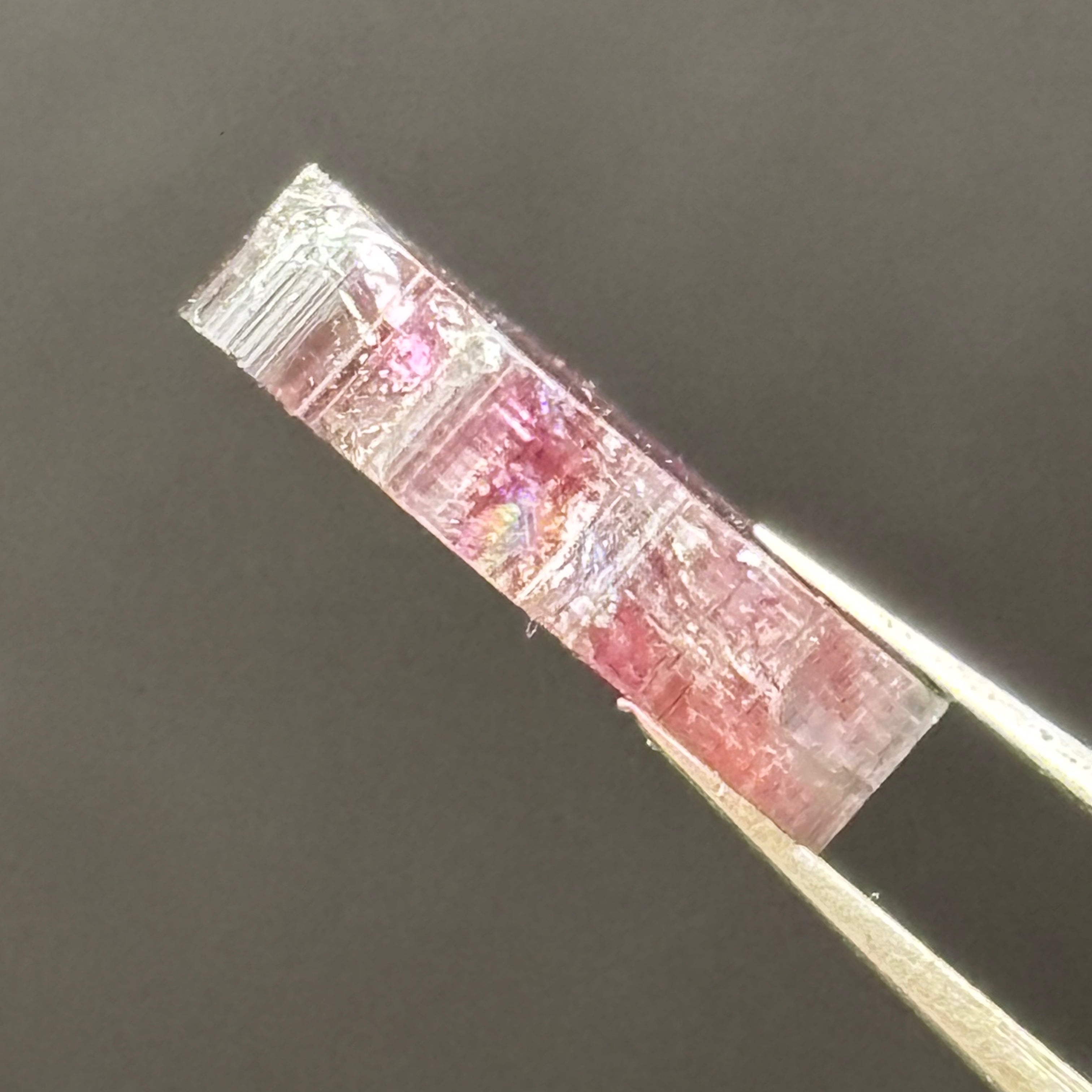 Watermelon Tourmaline Cross-Section - 089