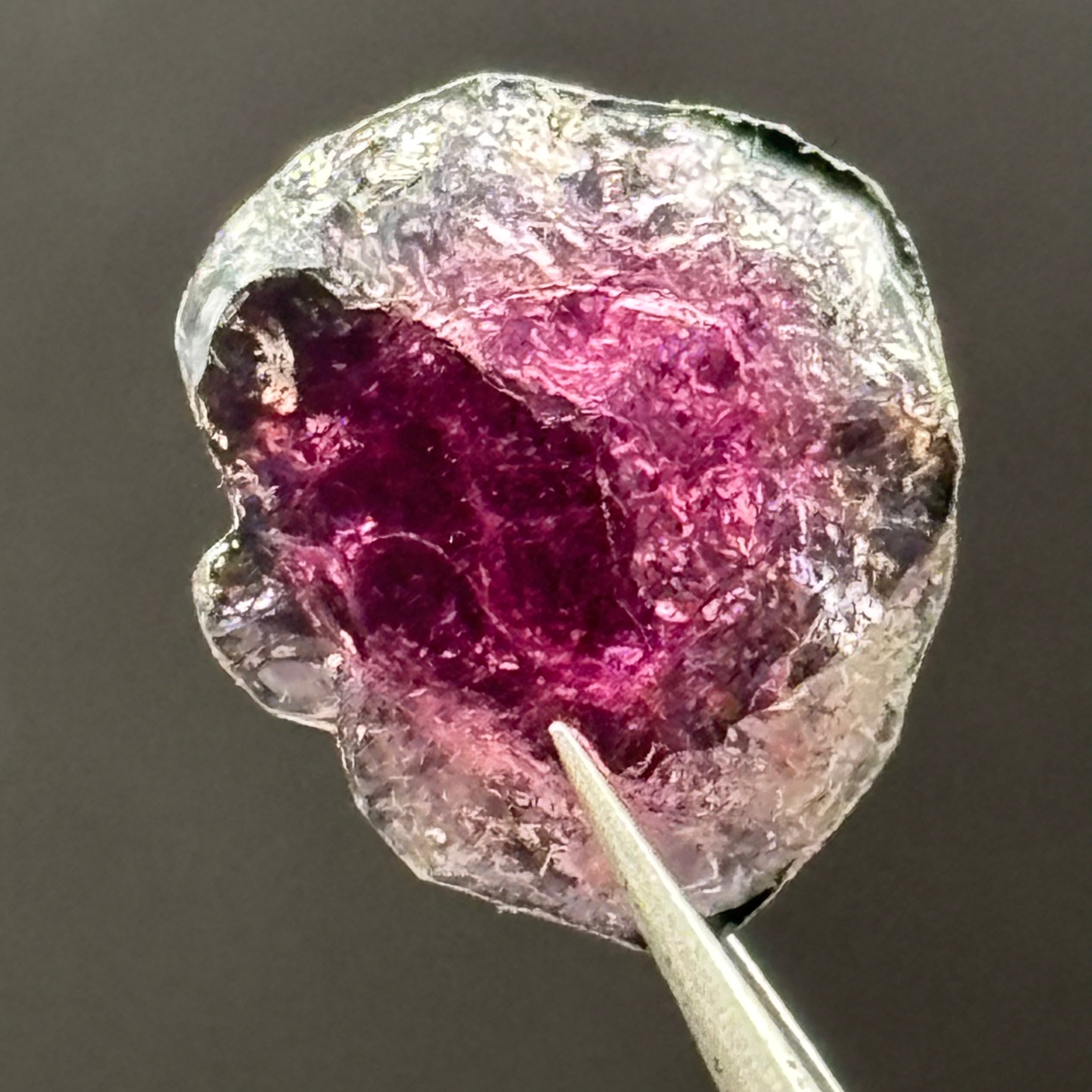 Watermelon Tourmaline Cross-Section - 089