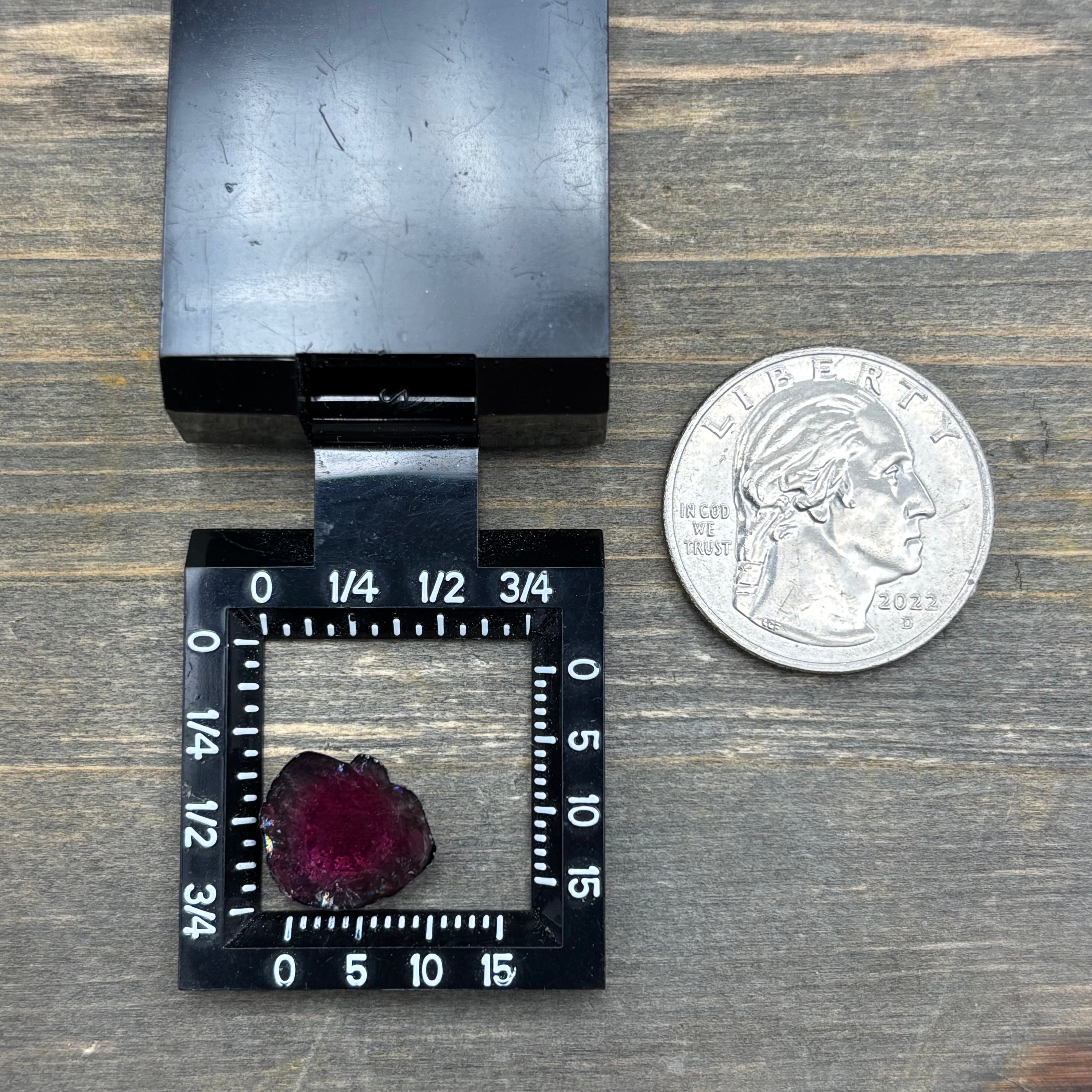 Watermelon Tourmaline Cross-Section - 089