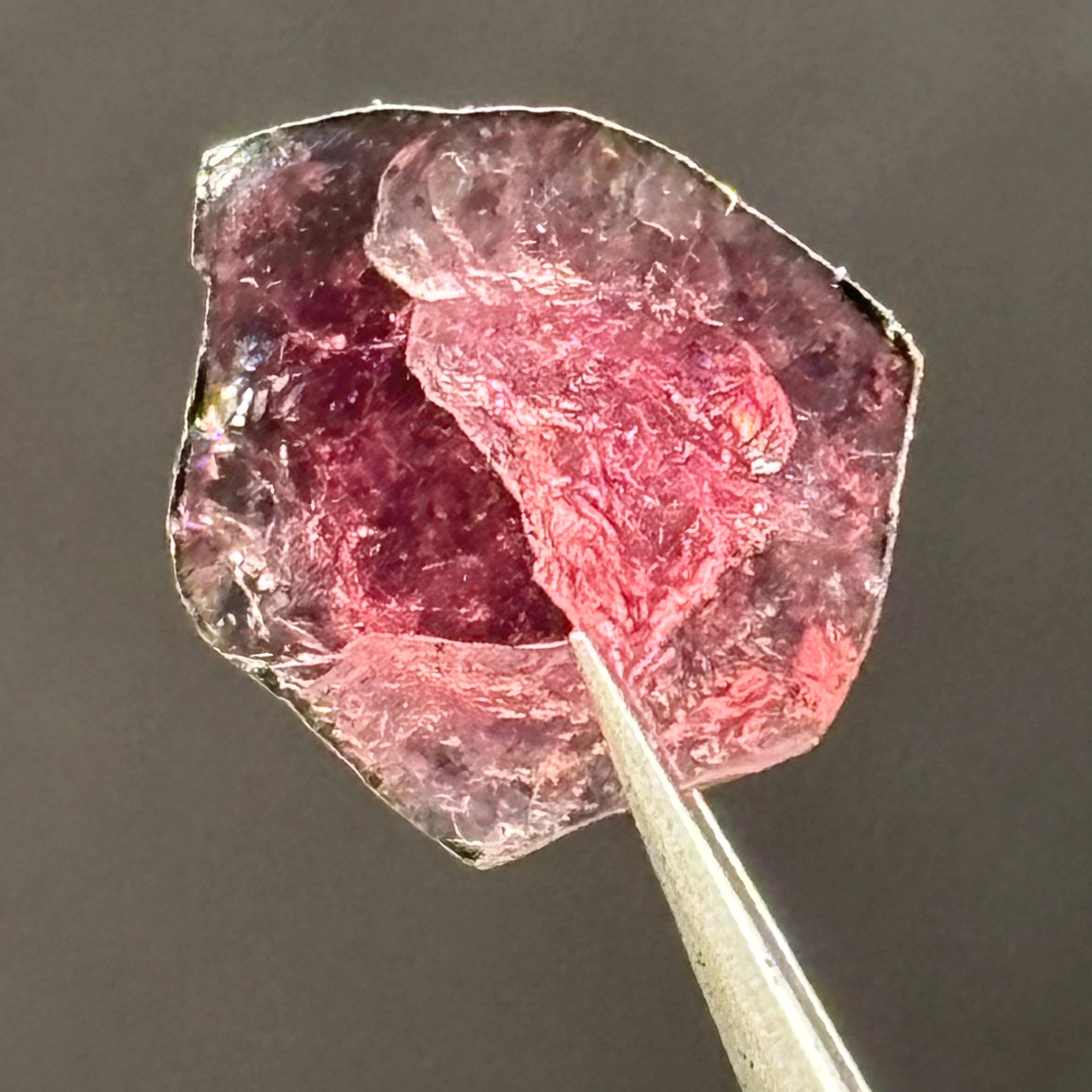 Watermelon Tourmaline Cross-Section - 090