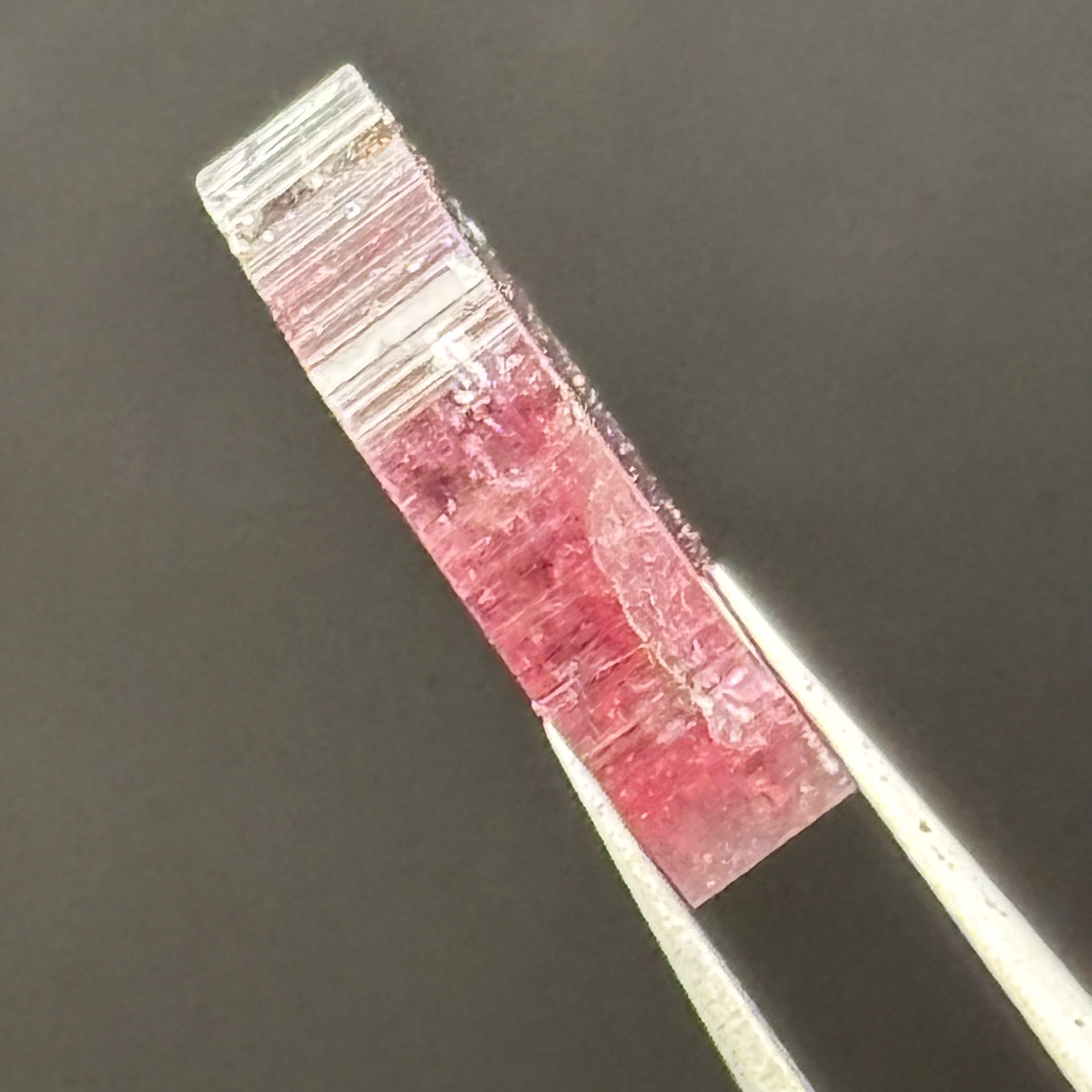 Watermelon Tourmaline Cross-Section - 090