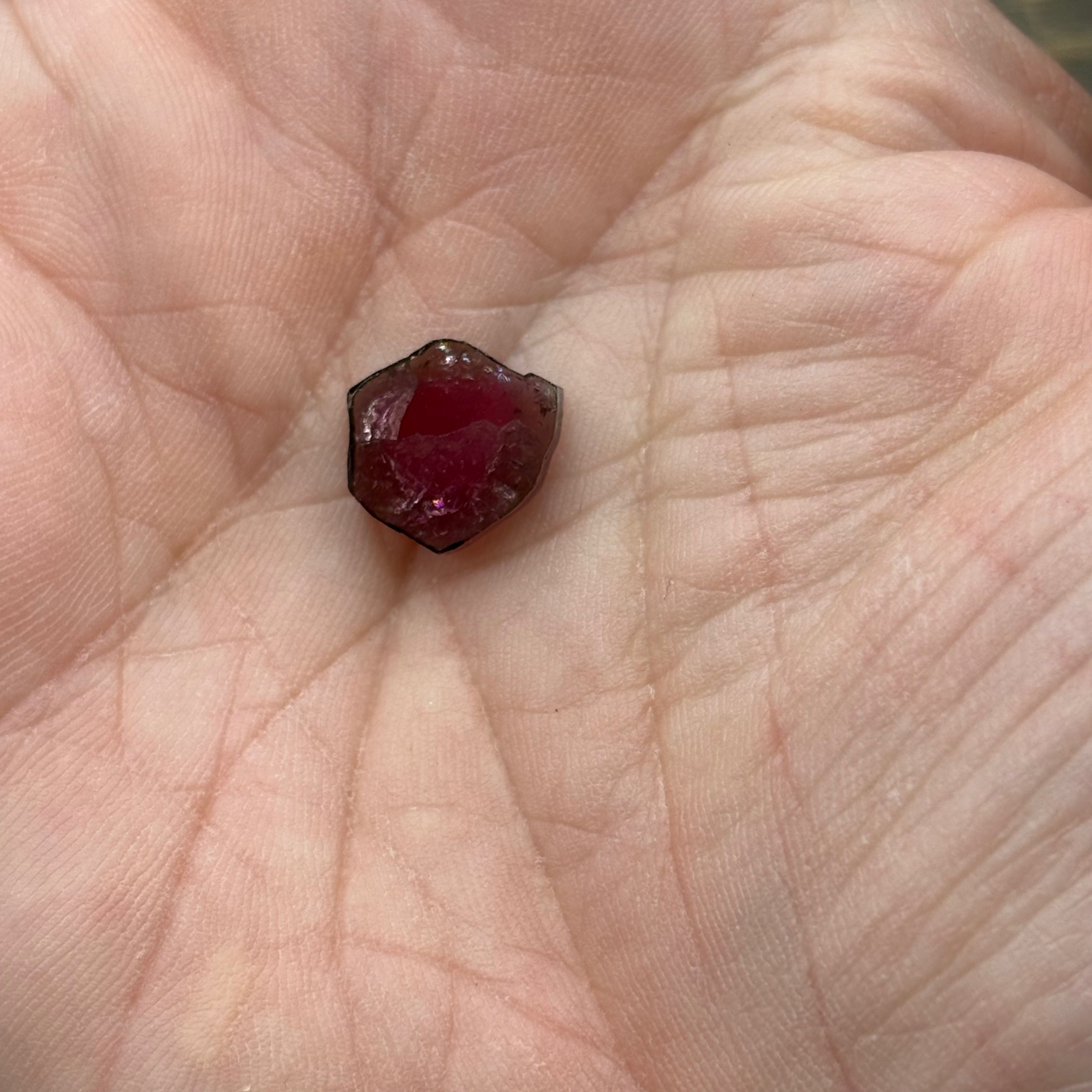 Watermelon Tourmaline Cross-Section - 090