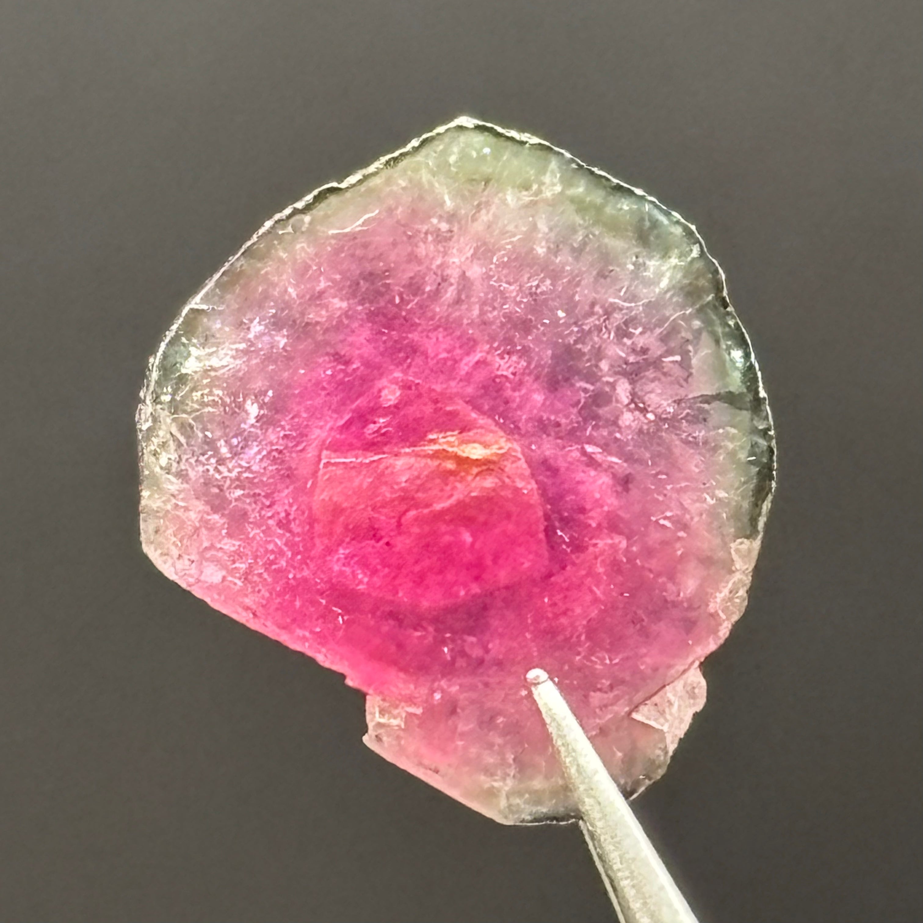 Watermelon Tourmaline Cross-Section- 091