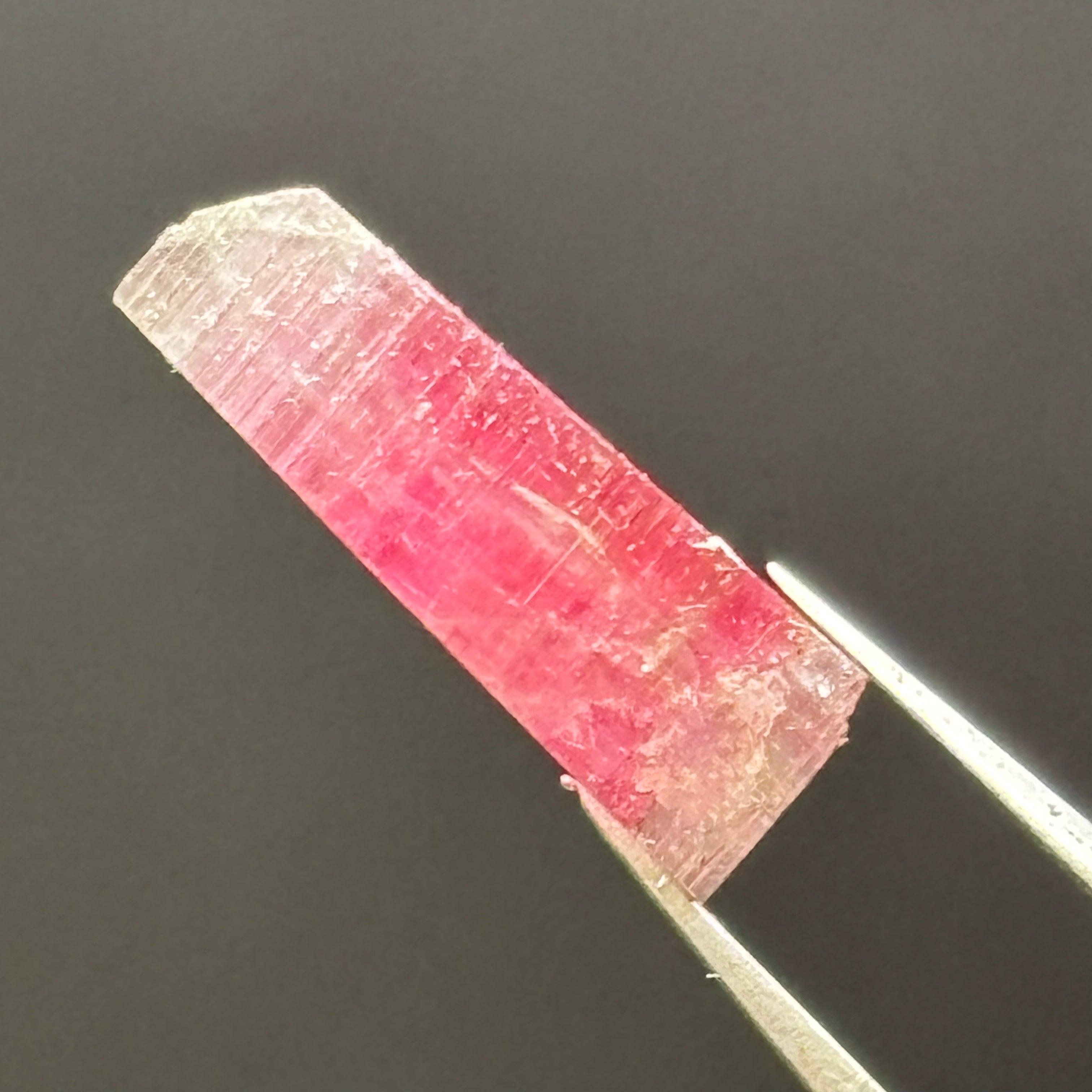 Watermelon Tourmaline Cross-Section- 091